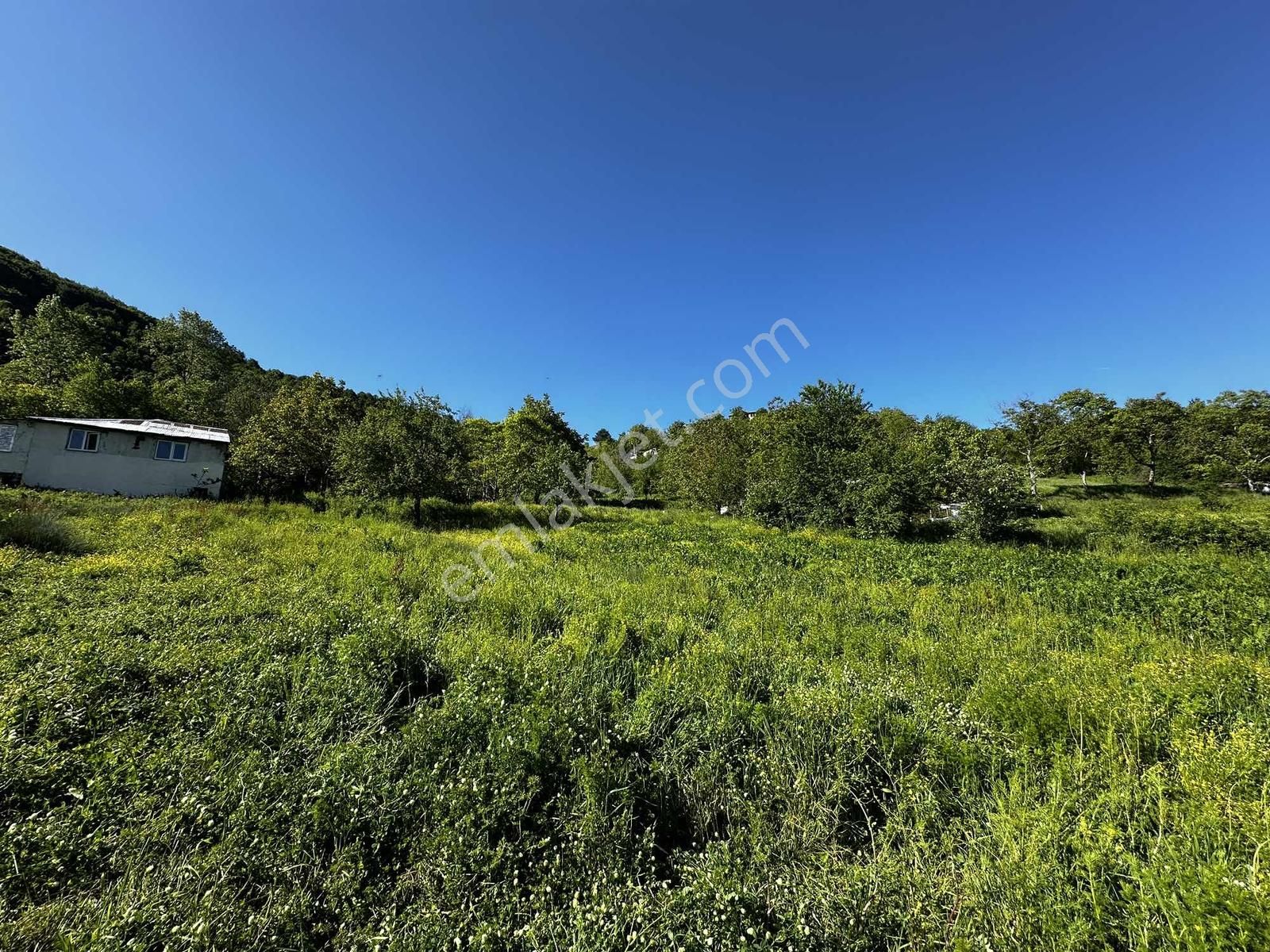 Osmaniye'de Yayla Havasında 250 M2 Yapı İzinli 592 M2 Arsa - Görsel 17