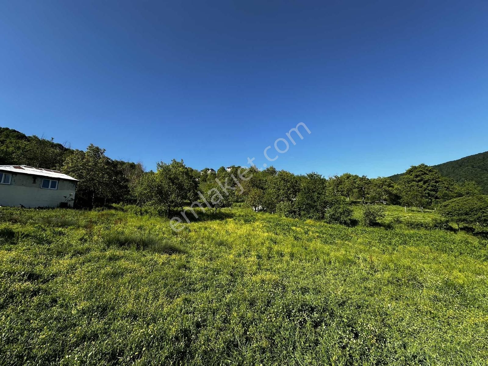 Osmaniye'de Yayla Havasında 250 M2 Yapı İzinli 592 M2 Arsa - Görsel 31