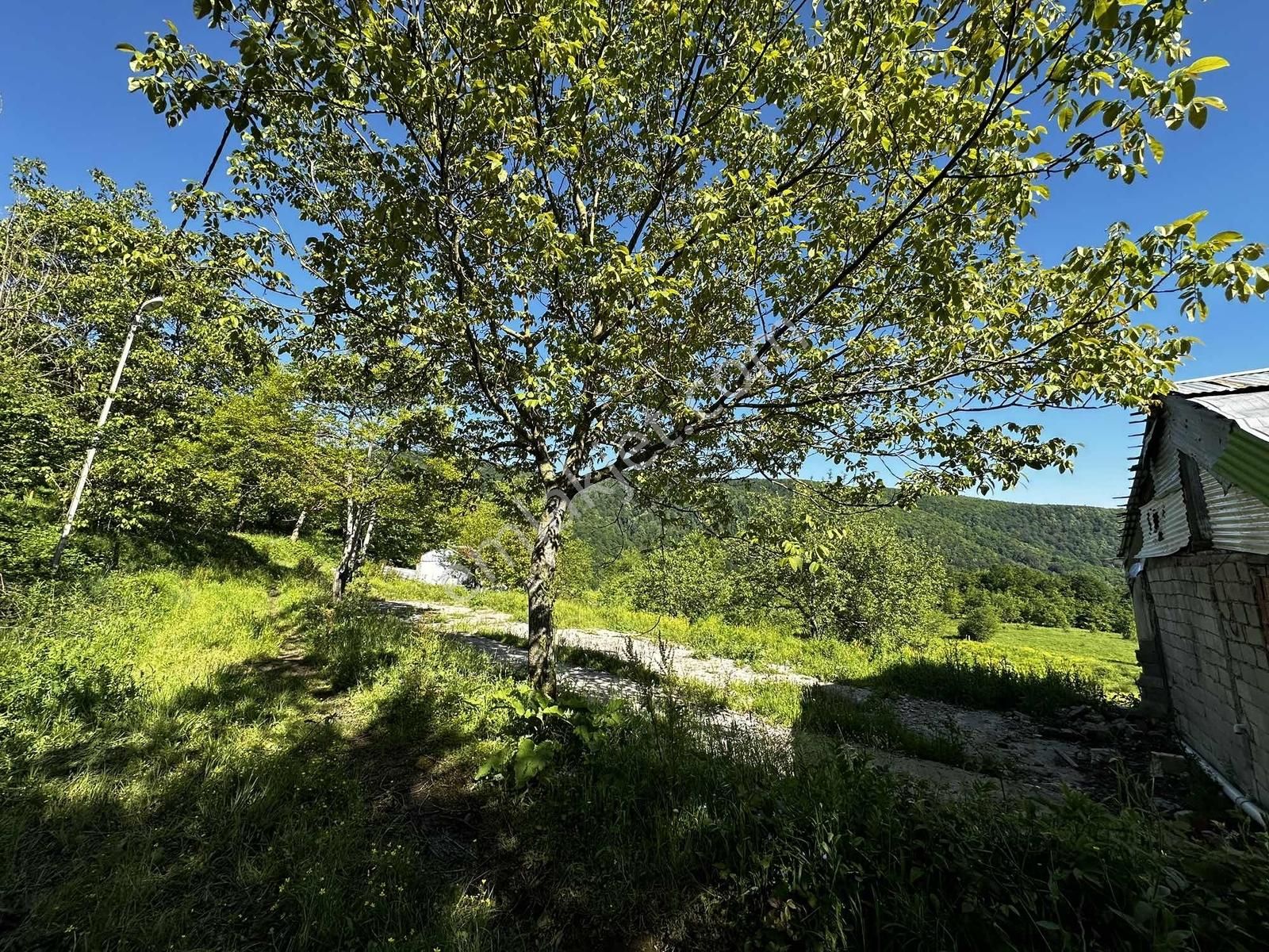 Osmaniye'de Yayla Havasında 250 M2 Yapı İzinli 592 M2 Arsa - Görsel 11