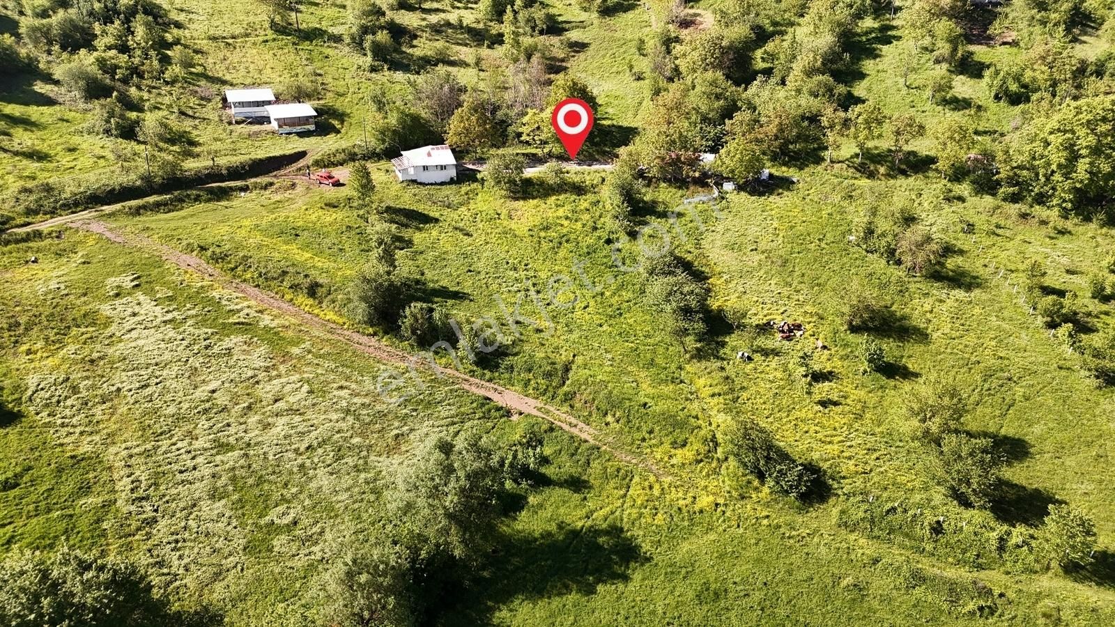 Osmaniye'de Yayla Havasında 250 M2 Yapı İzinli 592 M2 Arsa - Görsel 33