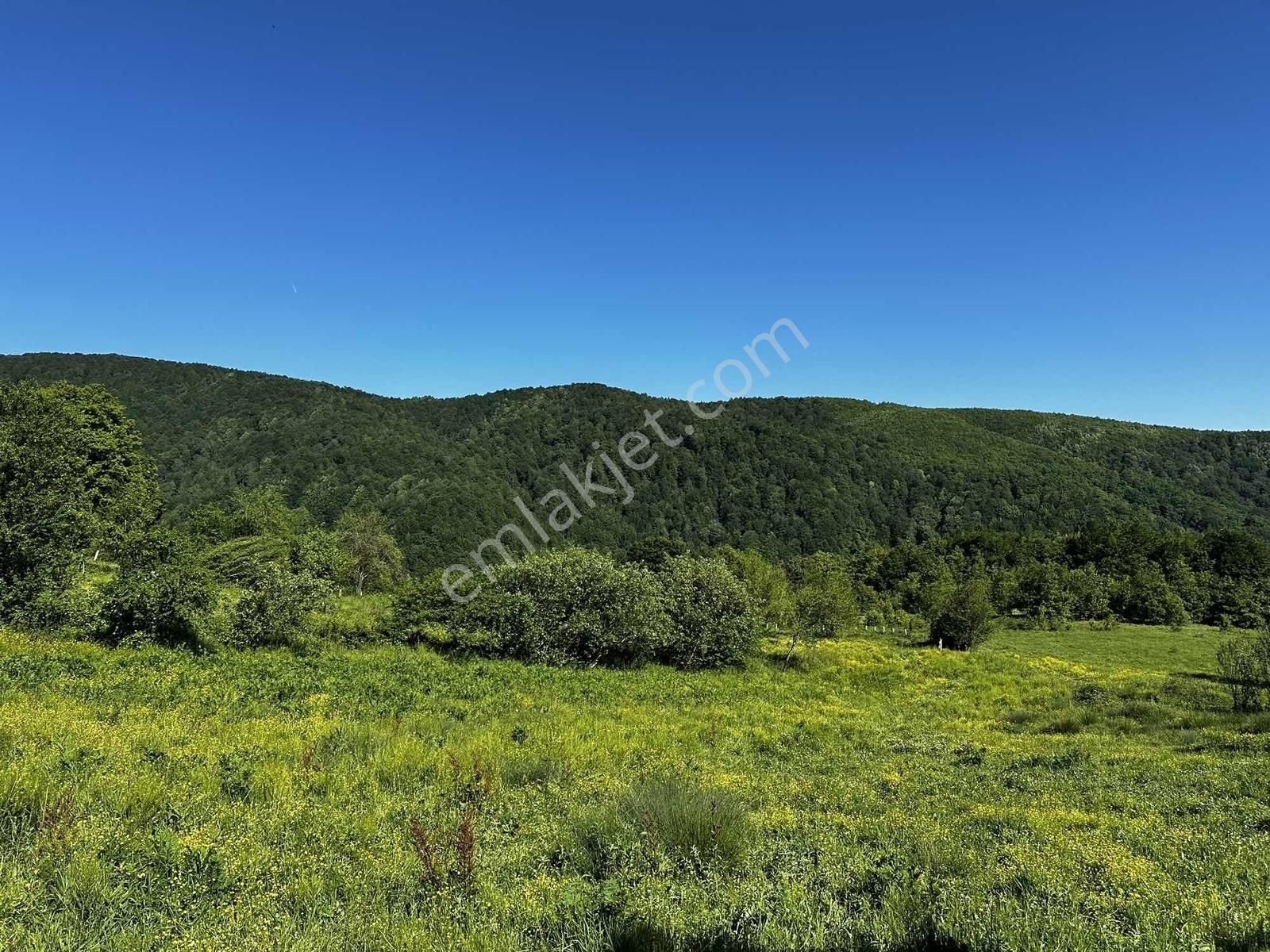 Osmaniye'de Yayla Havasında 250 M2 Yapı İzinli 592 M2 Arsa - Görsel 22