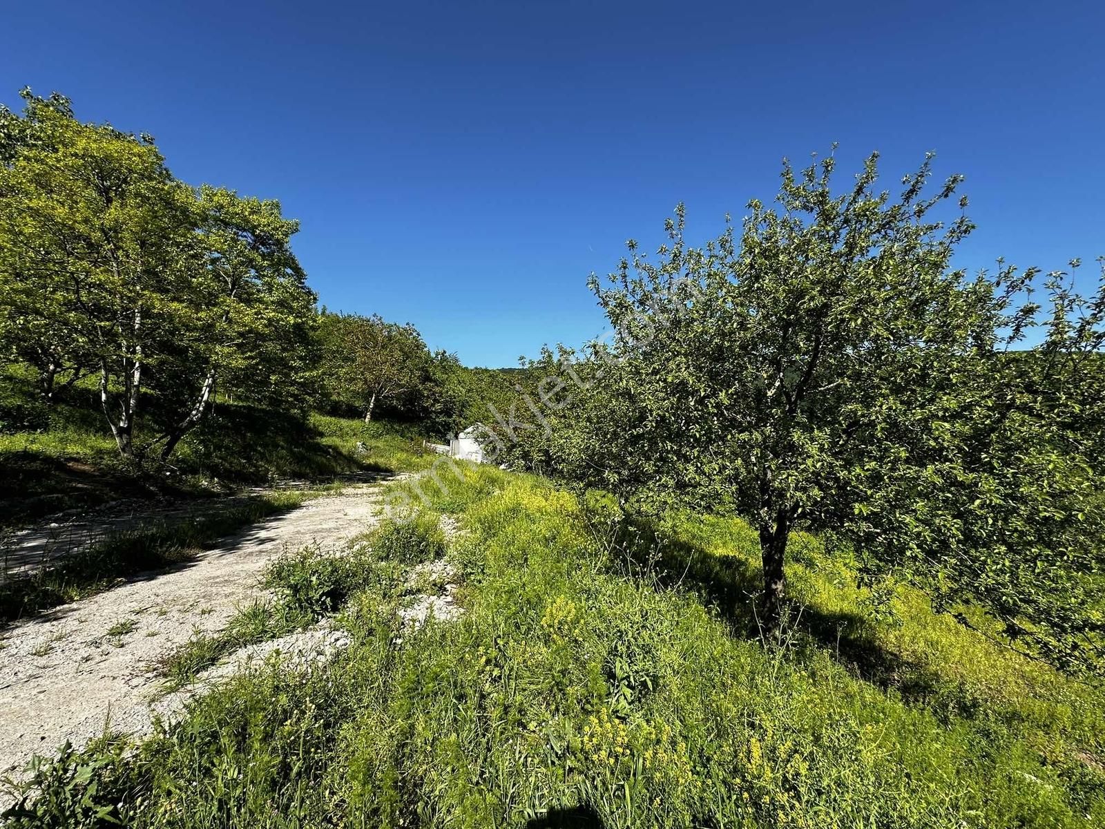 Osmaniye'de Yayla Havasında 250 M2 Yapı İzinli 592 M2 Arsa - Görsel 14