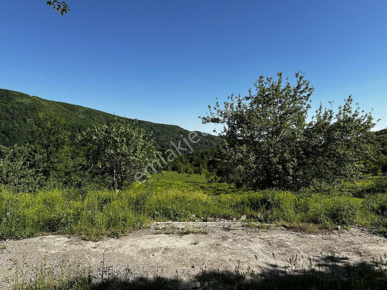 Osmaniye'de Yayla Havasında 250 M2 Yapı İzinli 592 M2 Arsa - Görsel 16