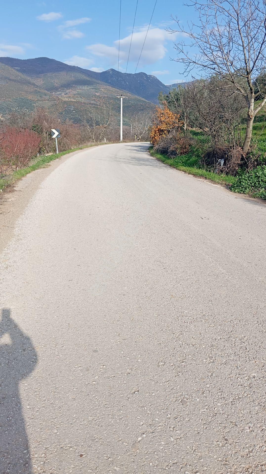 Çiçekli De Satılık Zeytinlik - Görsel 6