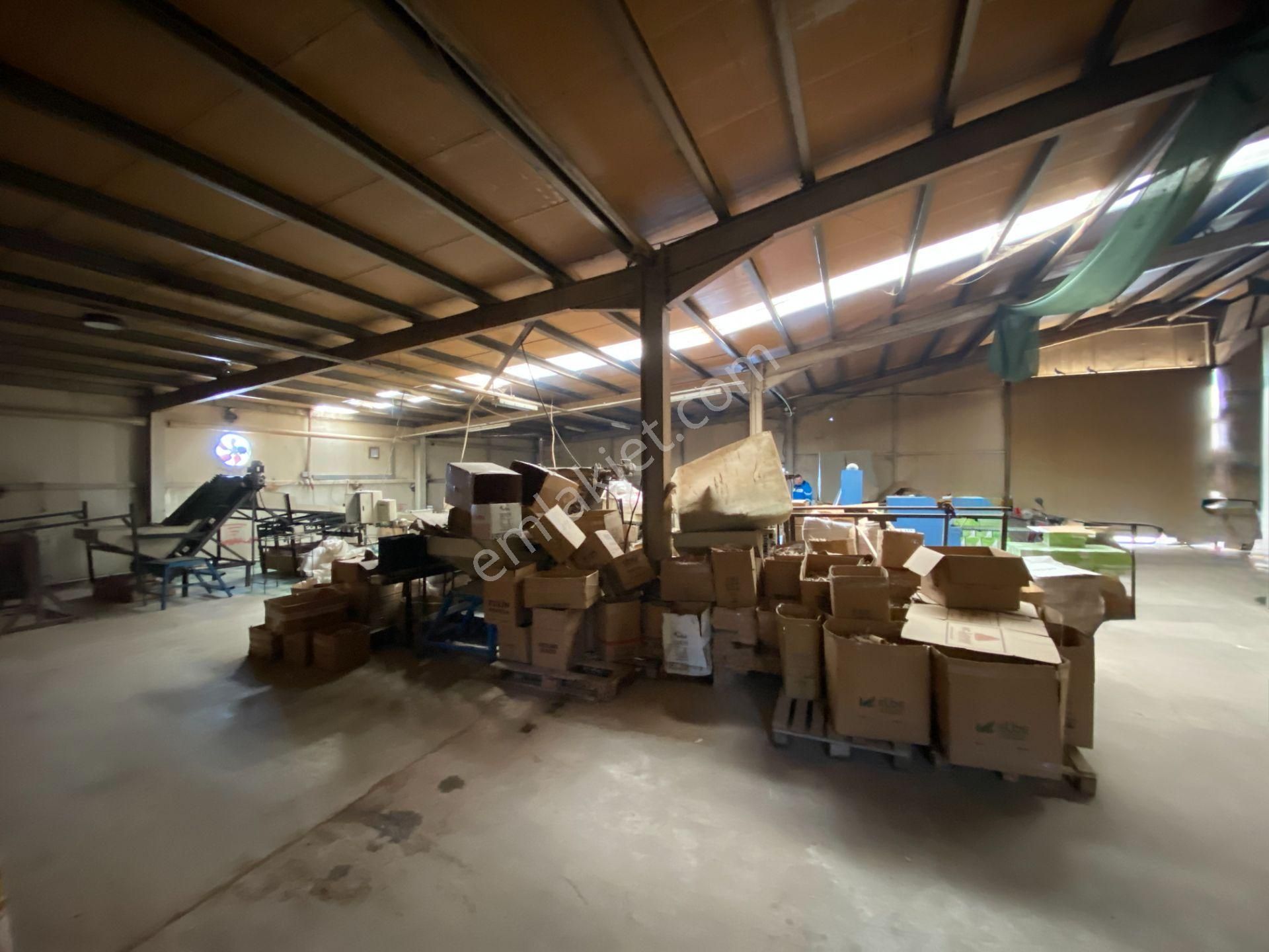 Geyve Bağlarbaş'ında Faal Satılık Fabrika Üretim Tesisi - Görsel 19