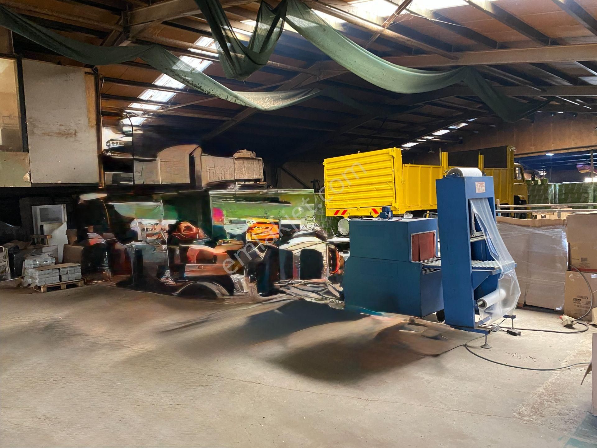 Geyve Bağlarbaş'ında Faal Satılık Fabrika Üretim Tesisi - Görsel 17