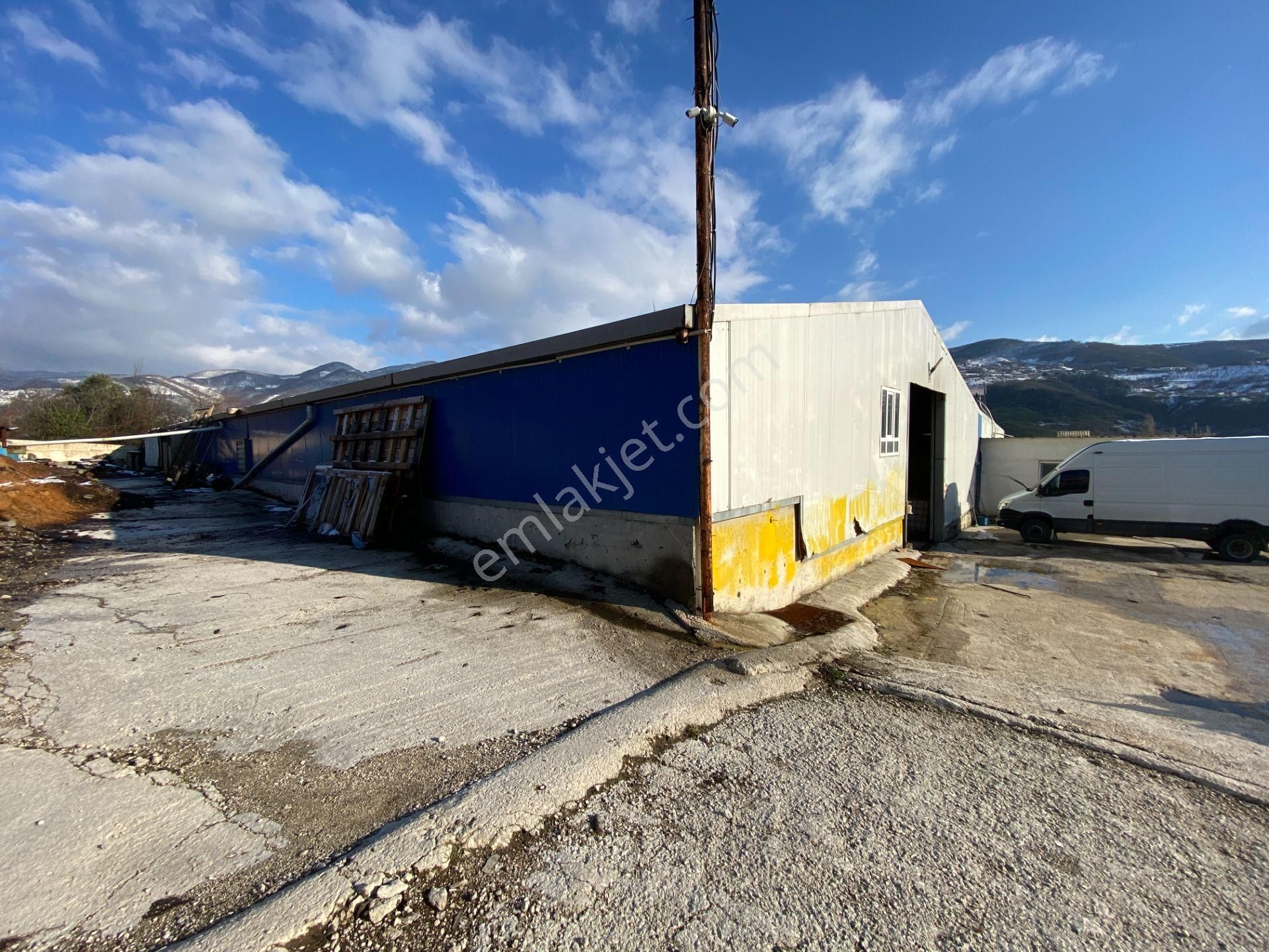 Geyve Bağlarbaş'ında Faal Satılık Fabrika Üretim Tesisi - Görsel 13