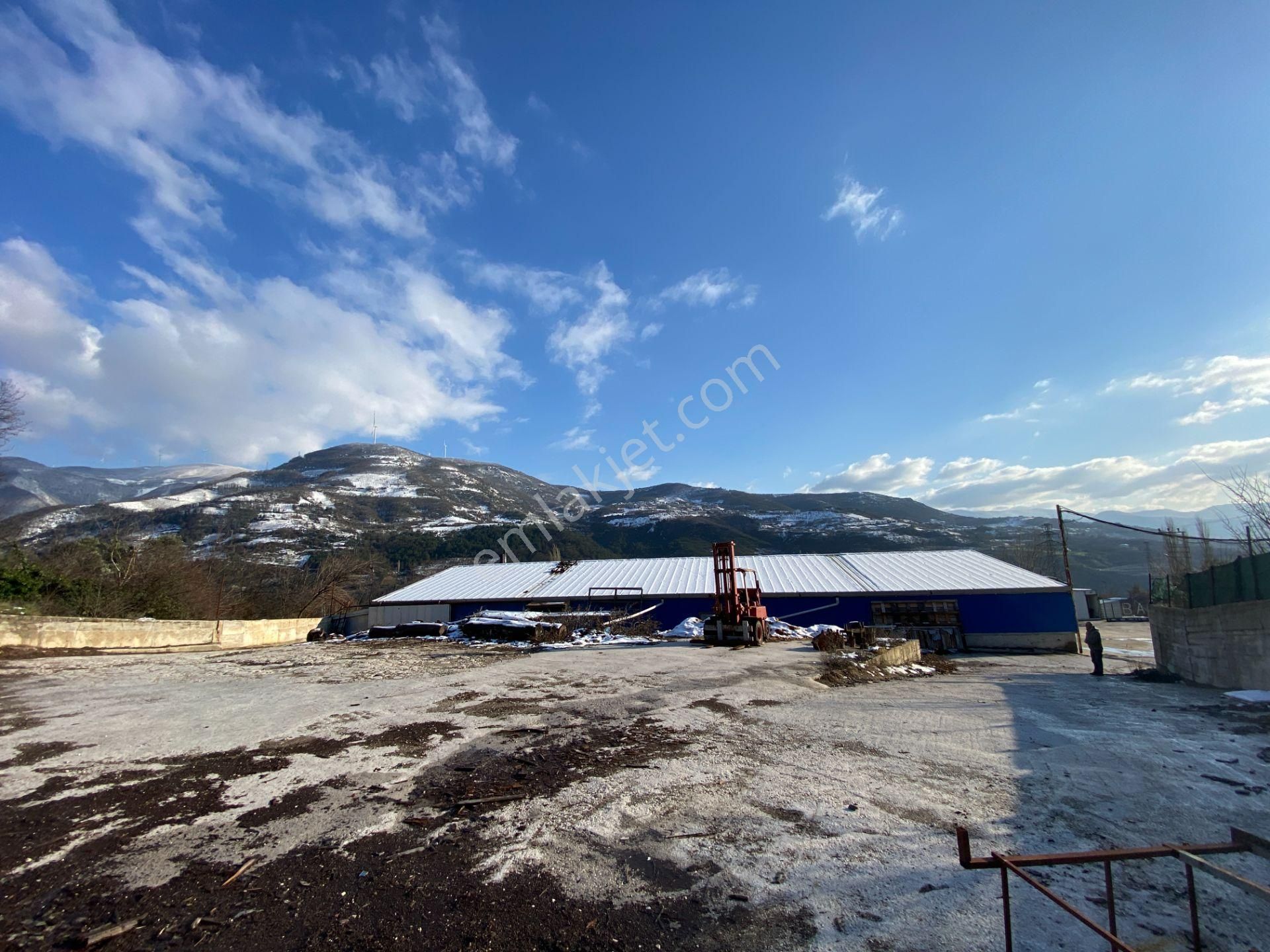 Geyve Bağlarbaş'ında Faal Satılık Fabrika Üretim Tesisi - Görsel 14