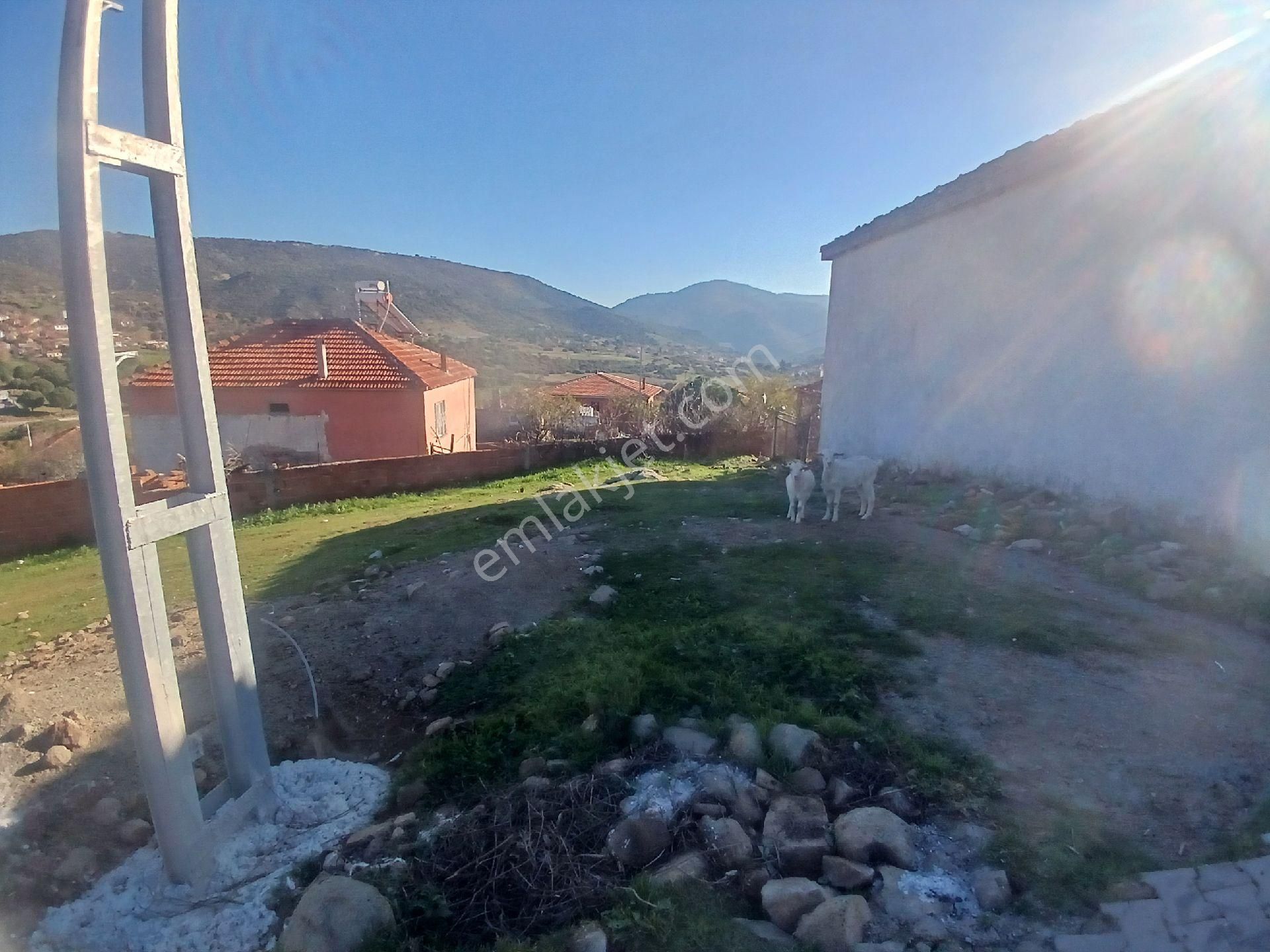 Altınova Ya 5 Km Köyde Satılık - Görsel 8