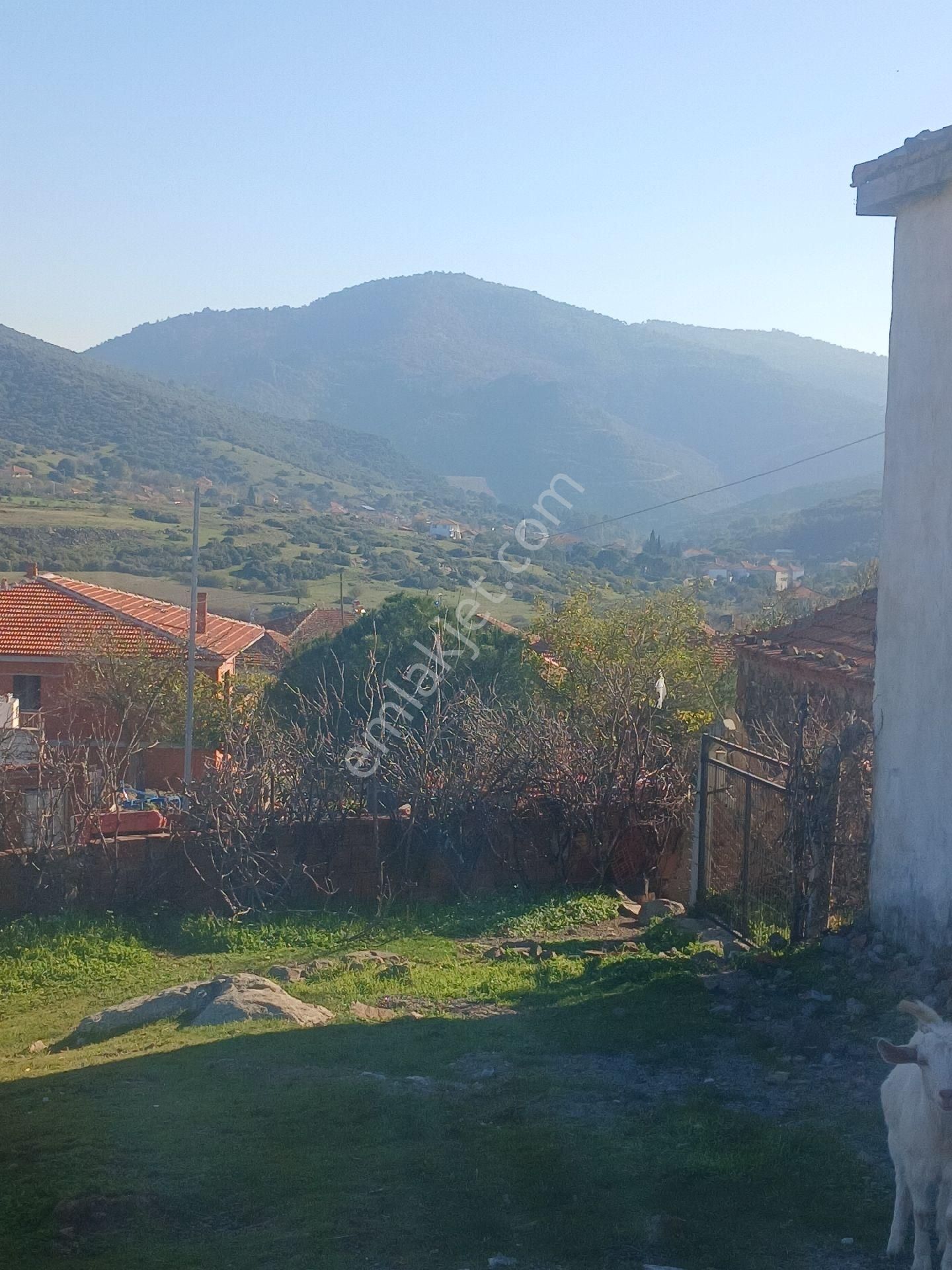 Altınova Ya 5 Km Köyde Satılık - Görsel 7