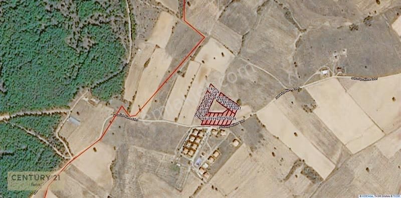 Edirne Enez Sultaniçede Satılık Arsa - Görsel 2