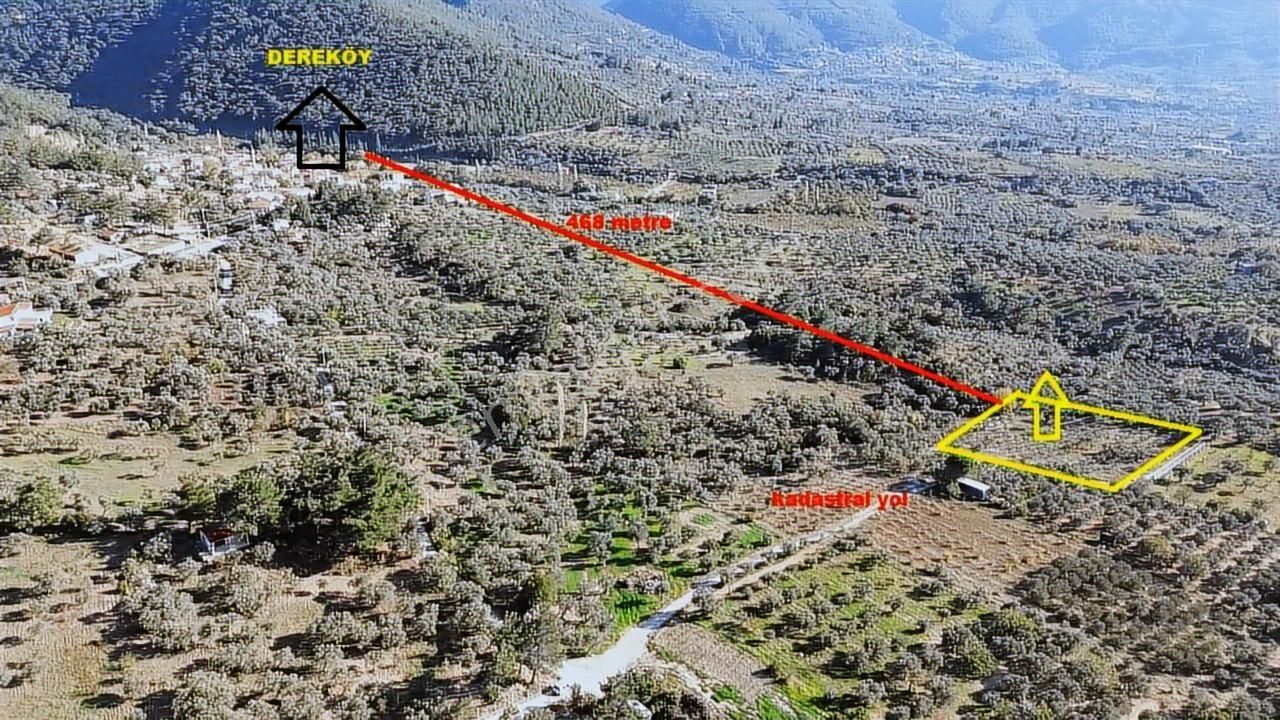 Kadastral Yola Cephe Müstakil Zeytinlik! - Görsel 2