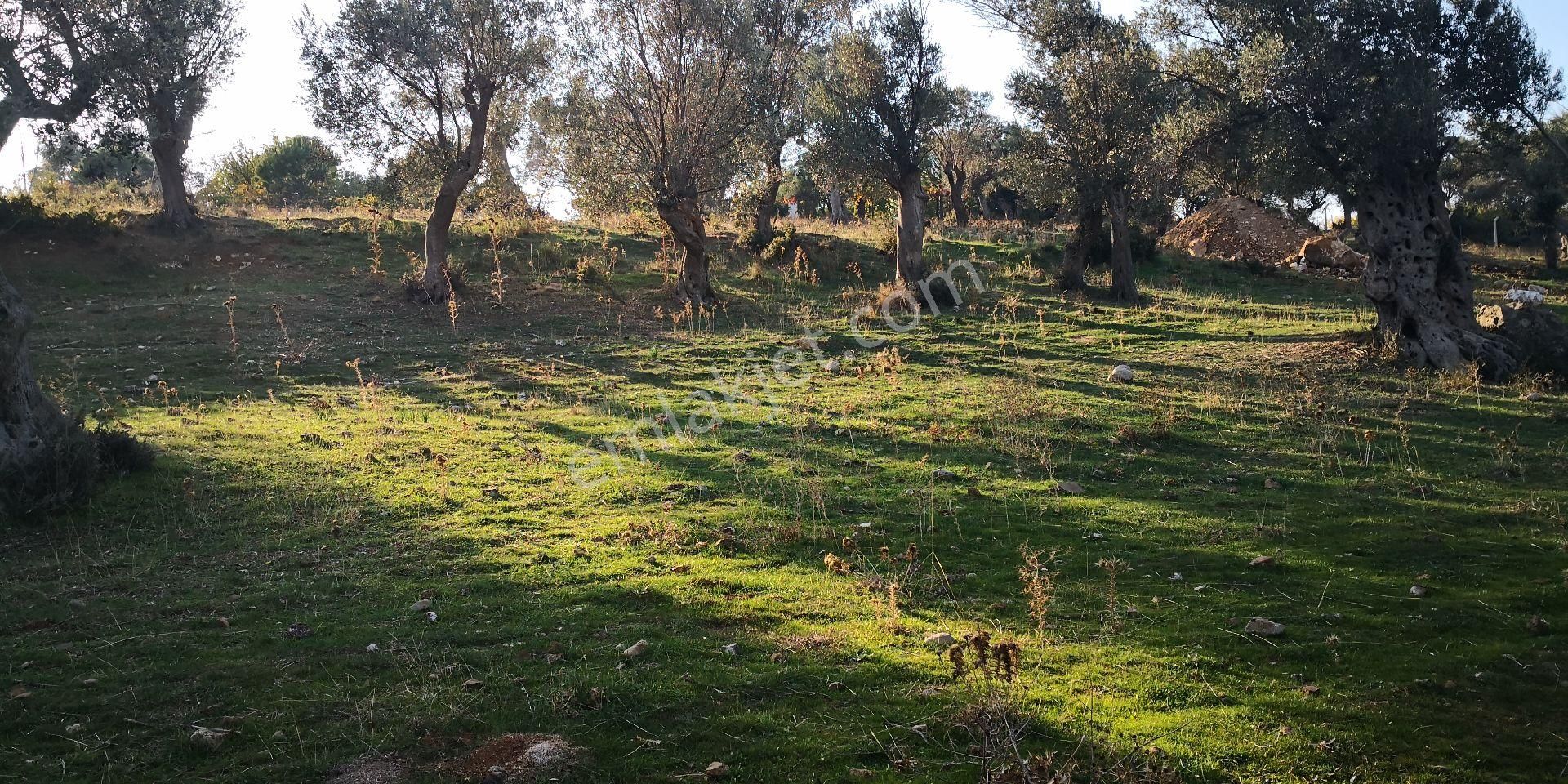Sahibinden Satılık - Görsel 15