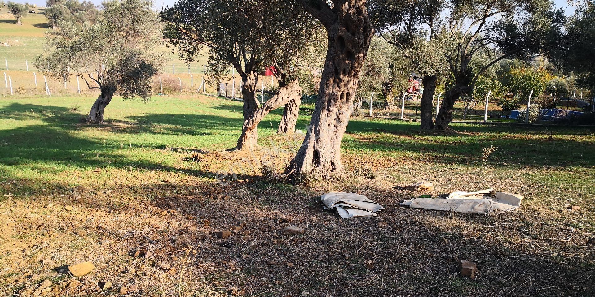 Sahibinden Satılık - Görsel 2