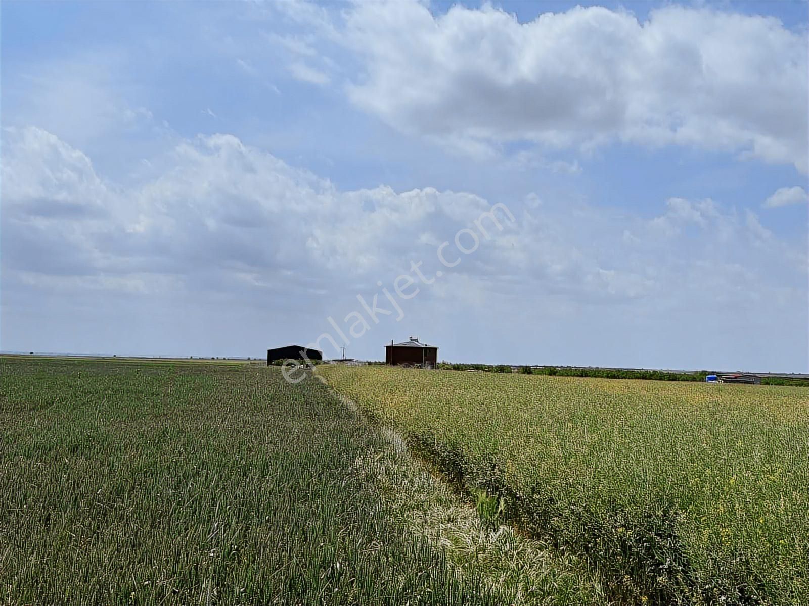 Saray Kadıköy De Harika Yer Ler - Görsel 22