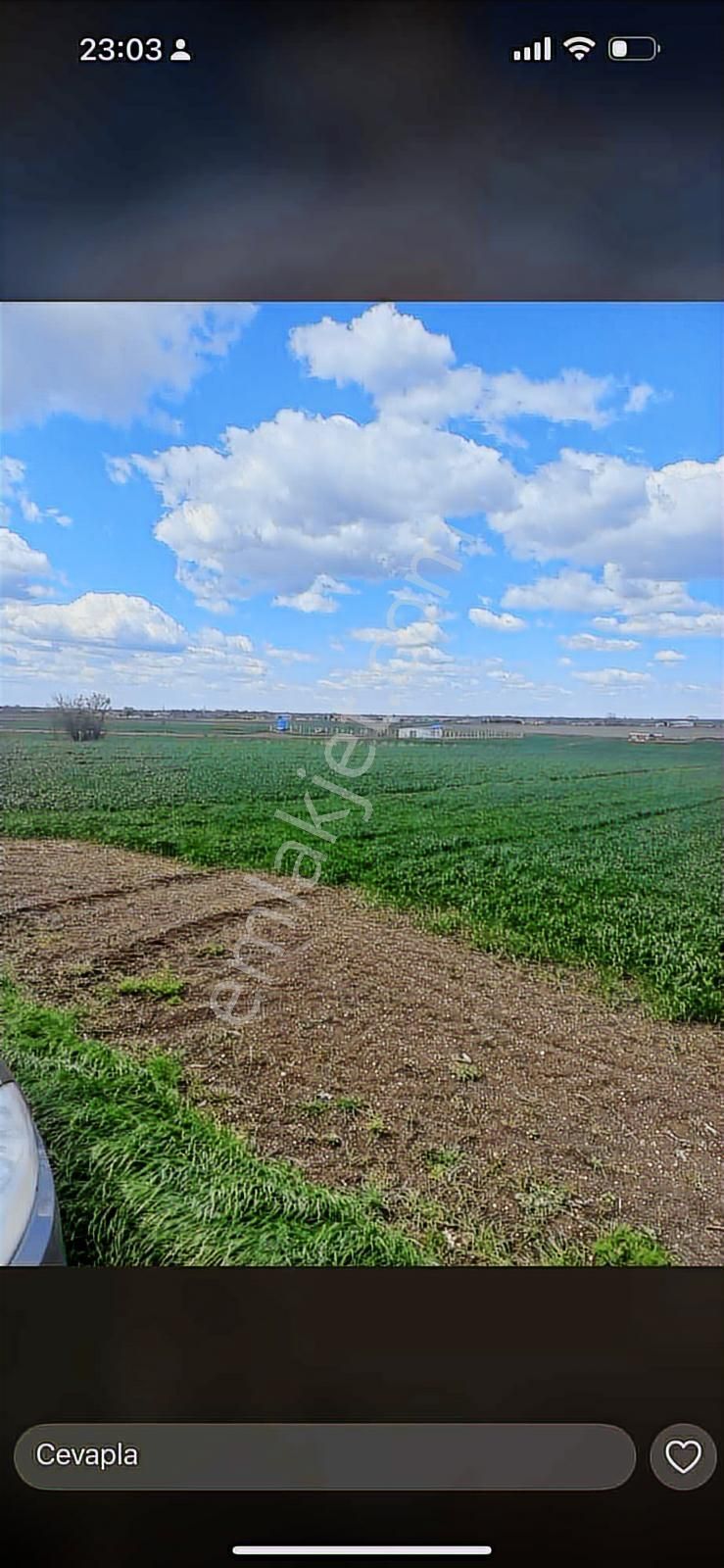 Saray Kadıköy De Harika Yer Ler - Görsel 4