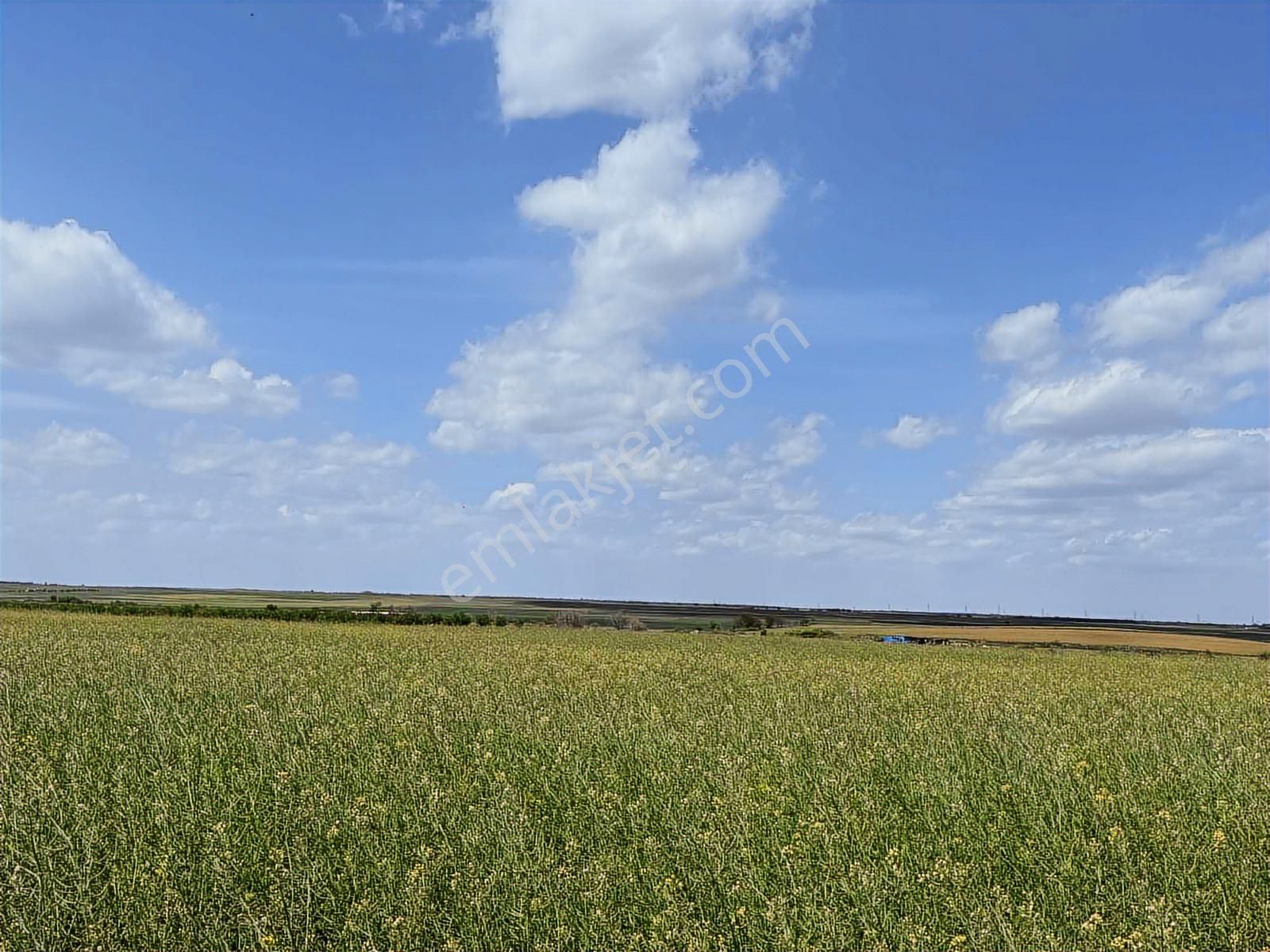 Saray Kadıköy De Harika Yer Ler - Görsel 19