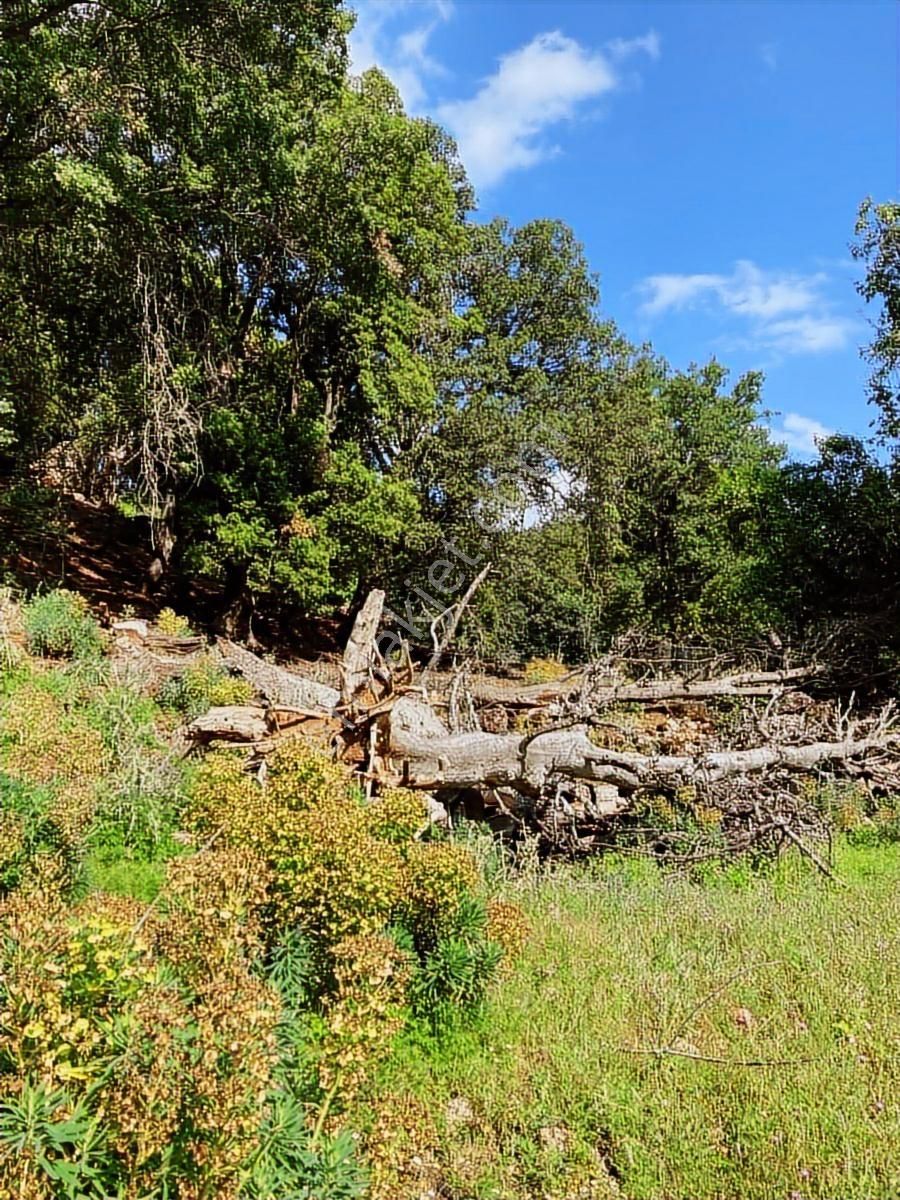 Antalya Kumluca Büyükalan Yatırımlık Fırsat Satılık Tarla - Görsel 3