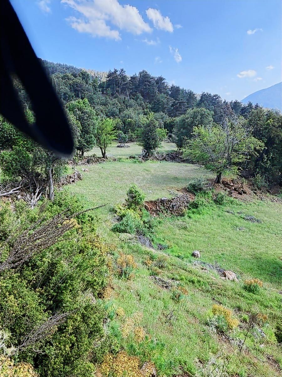 Antalya Kumluca Büyükalan Yatırımlık Fırsat Satılık Tarla - Görsel 4