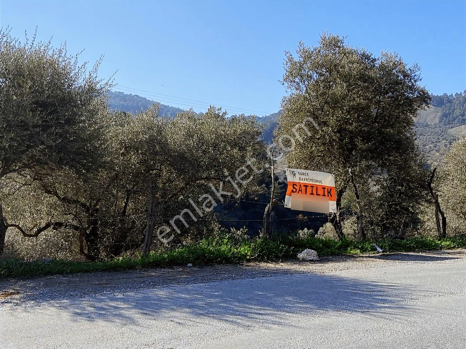 Aydın İncirliova Arzular Da Satılık 1.200 M2 Harım - Görsel 3