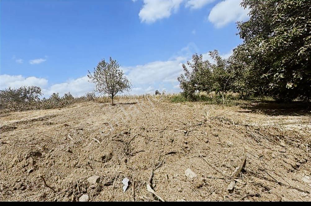 Ulucan'dan İnegöl Gündüzlü'de Satılık İmarlı Arsa - Görsel 3