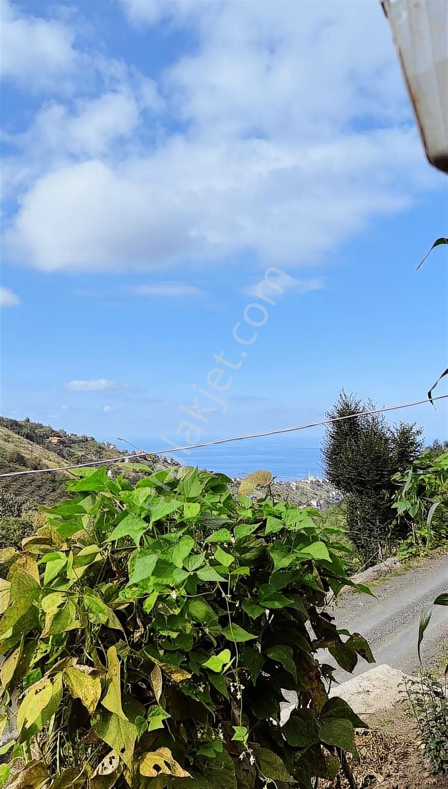 Akçaabat Yenimahalle'de 2.350 M2 Satılık Arazi - Görsel 10