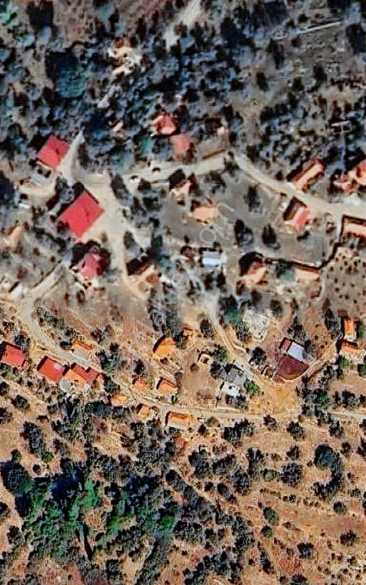 Seydikemer İzzettin Köyünde 3217m2 Tek Tapu Satılık Tarla Ve Ev