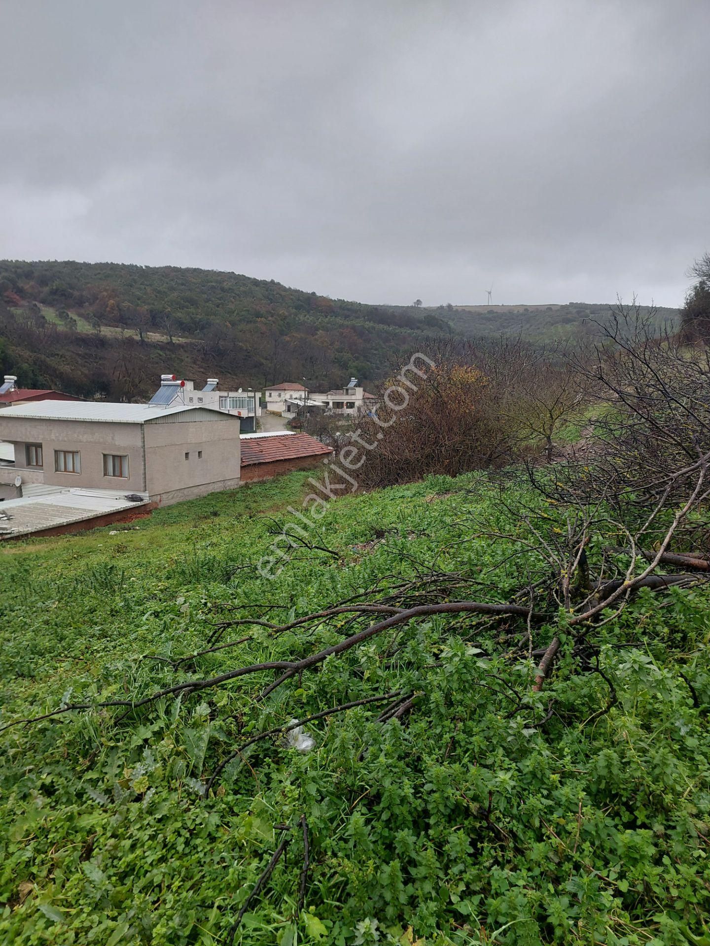 Bursa Mudanya Çamlık Mahallede Mücaviralanda Satılık 138m2 Hisseli Tarla - Görsel 11