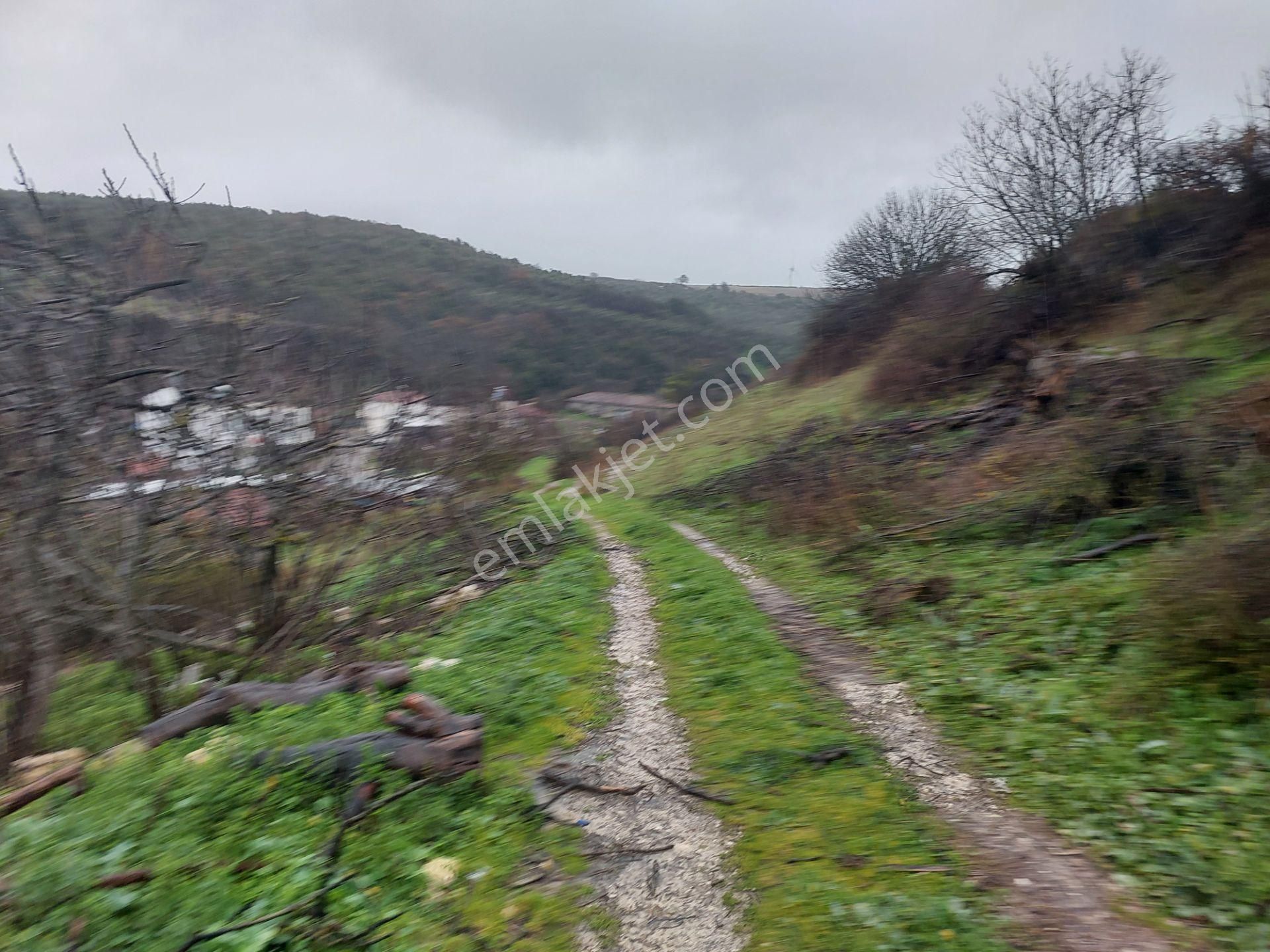 Bursa Mudanya Çamlık Mahallede Mücaviralanda Satılık 138m2 Hisseli Tarla - Görsel 26