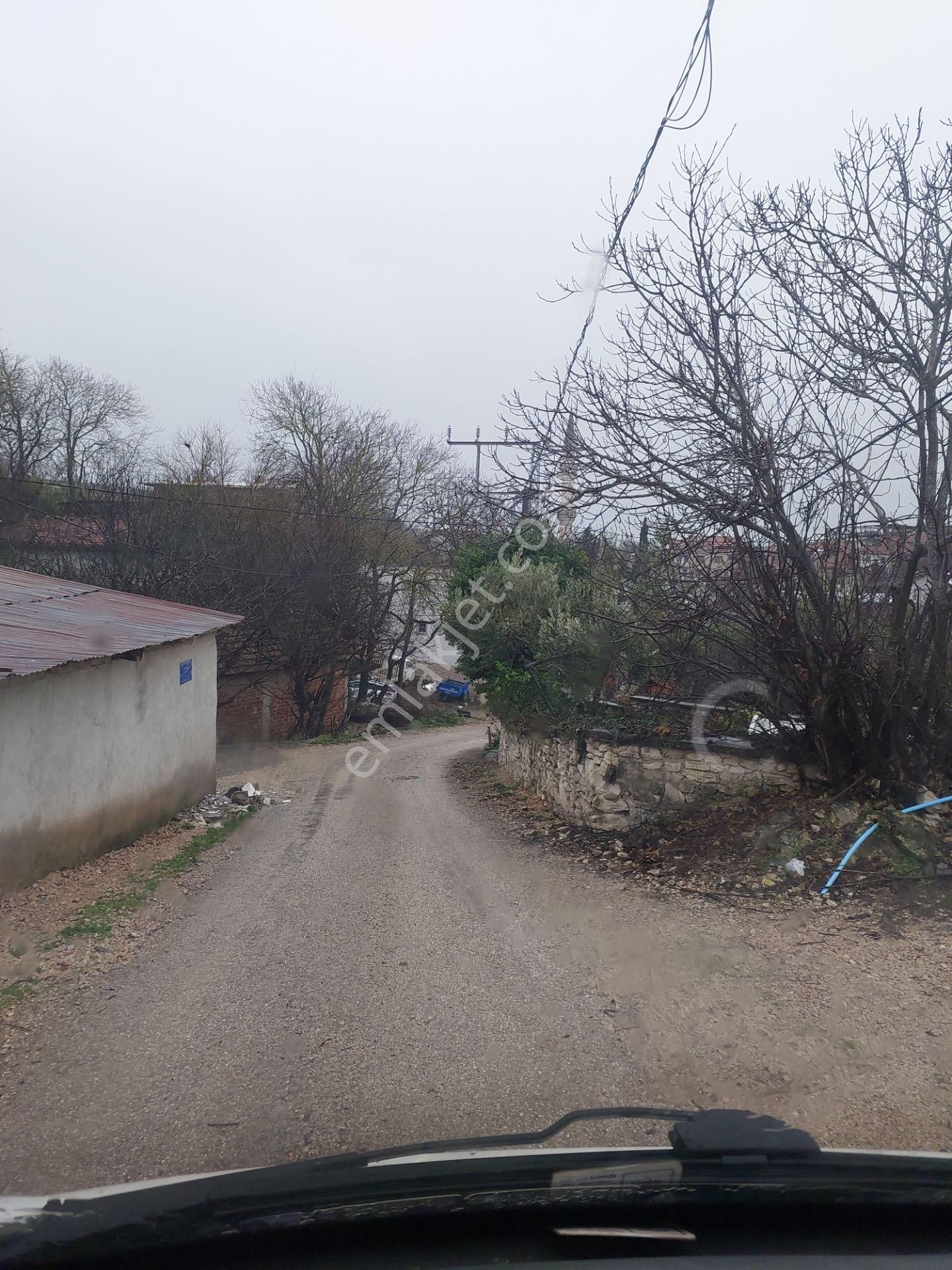 Bursa Mudanya Çamlık Mahallede Mücaviralanda Satılık 138m2 Hisseli Tarla - Görsel 6