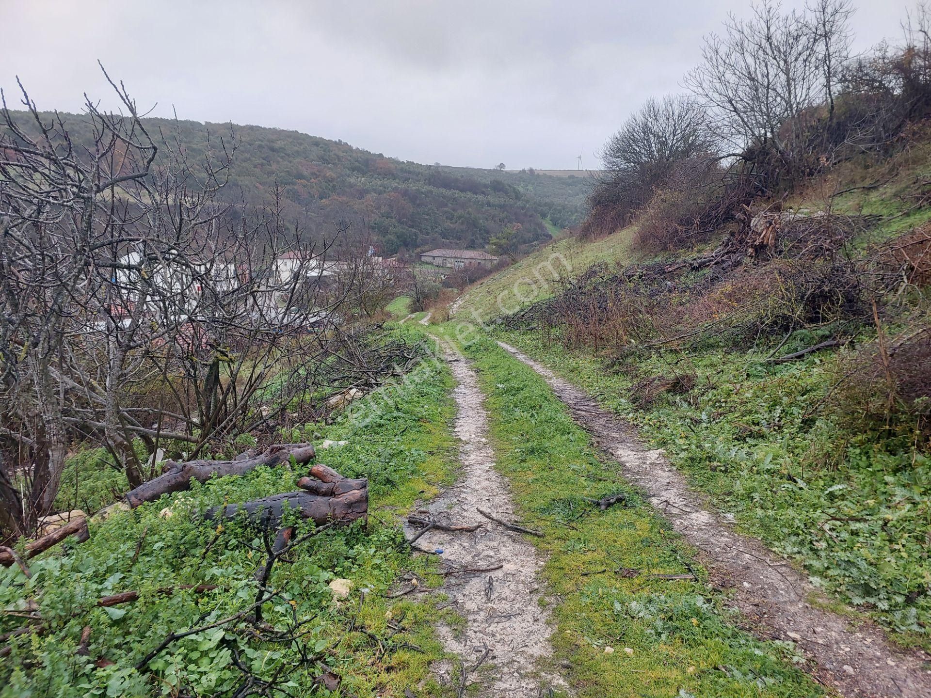 Bursa Mudanya Çamlık Mahallede Mücaviralanda Satılık 138m2 Hisseli Tarla - Görsel 21