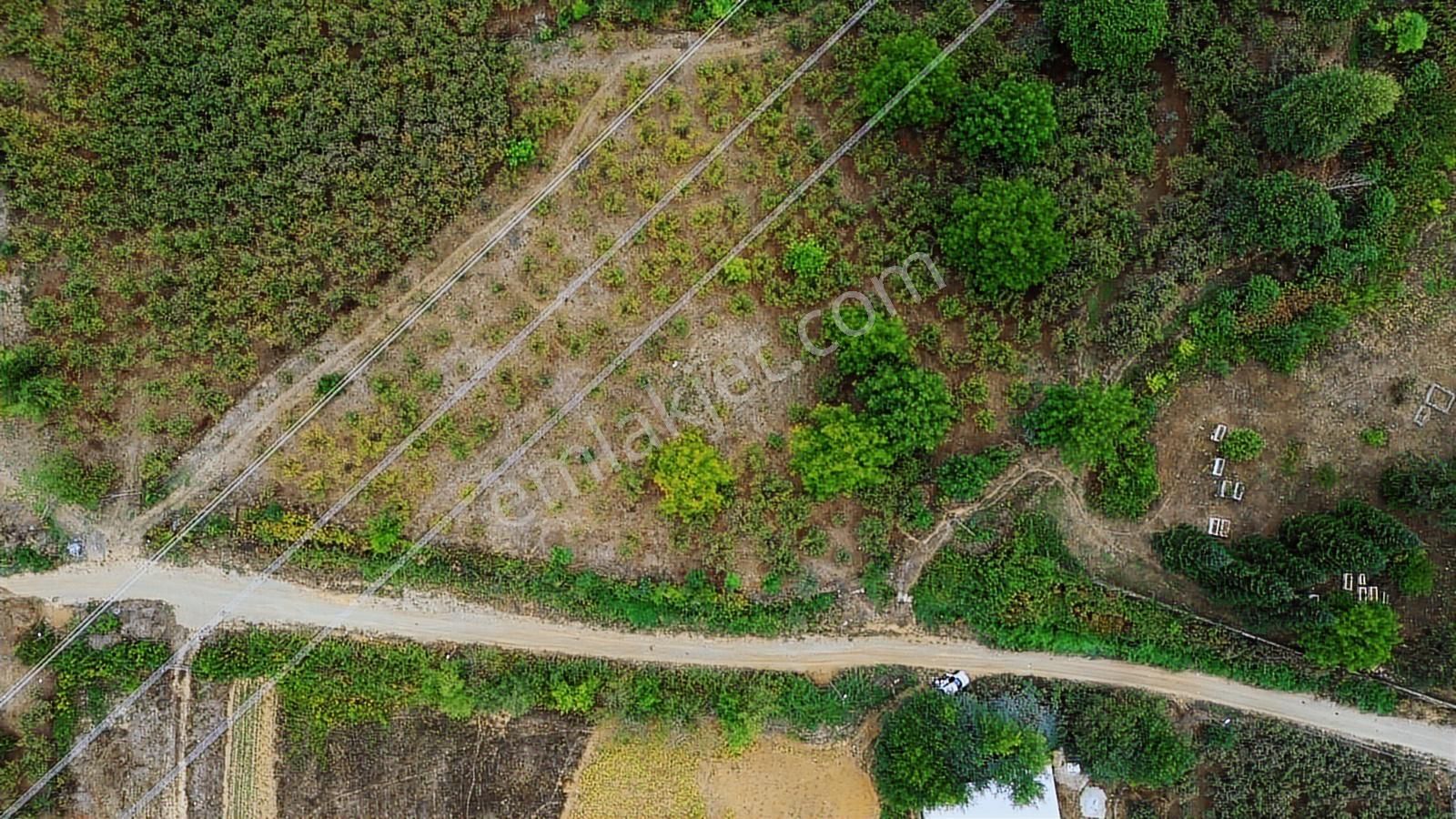 Yön Group'tan Ahmediye'de Satılık 5285m2 Fındık Bahçesi - Görsel 6