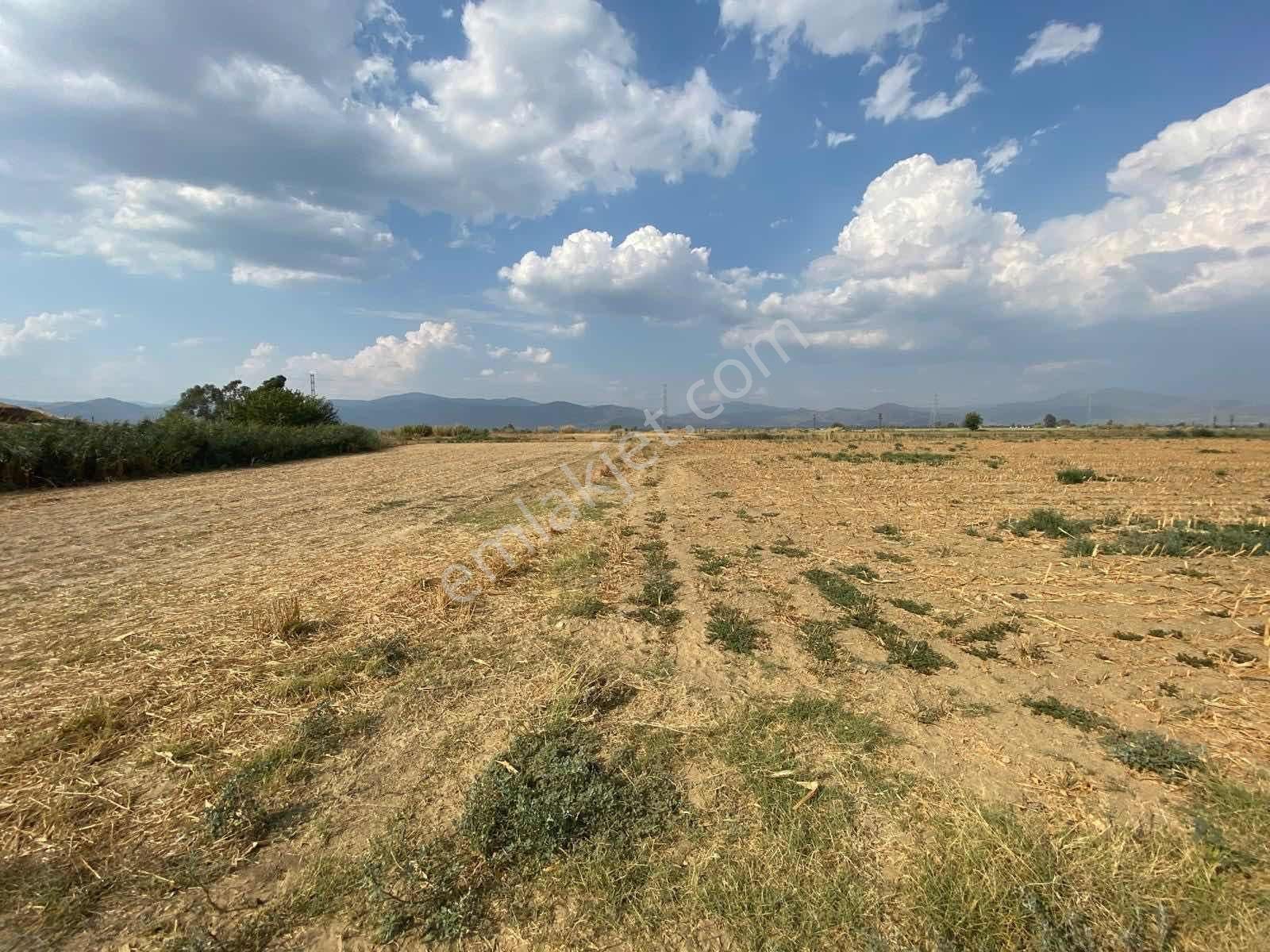 Akar Emlaktan Satılık Tarla