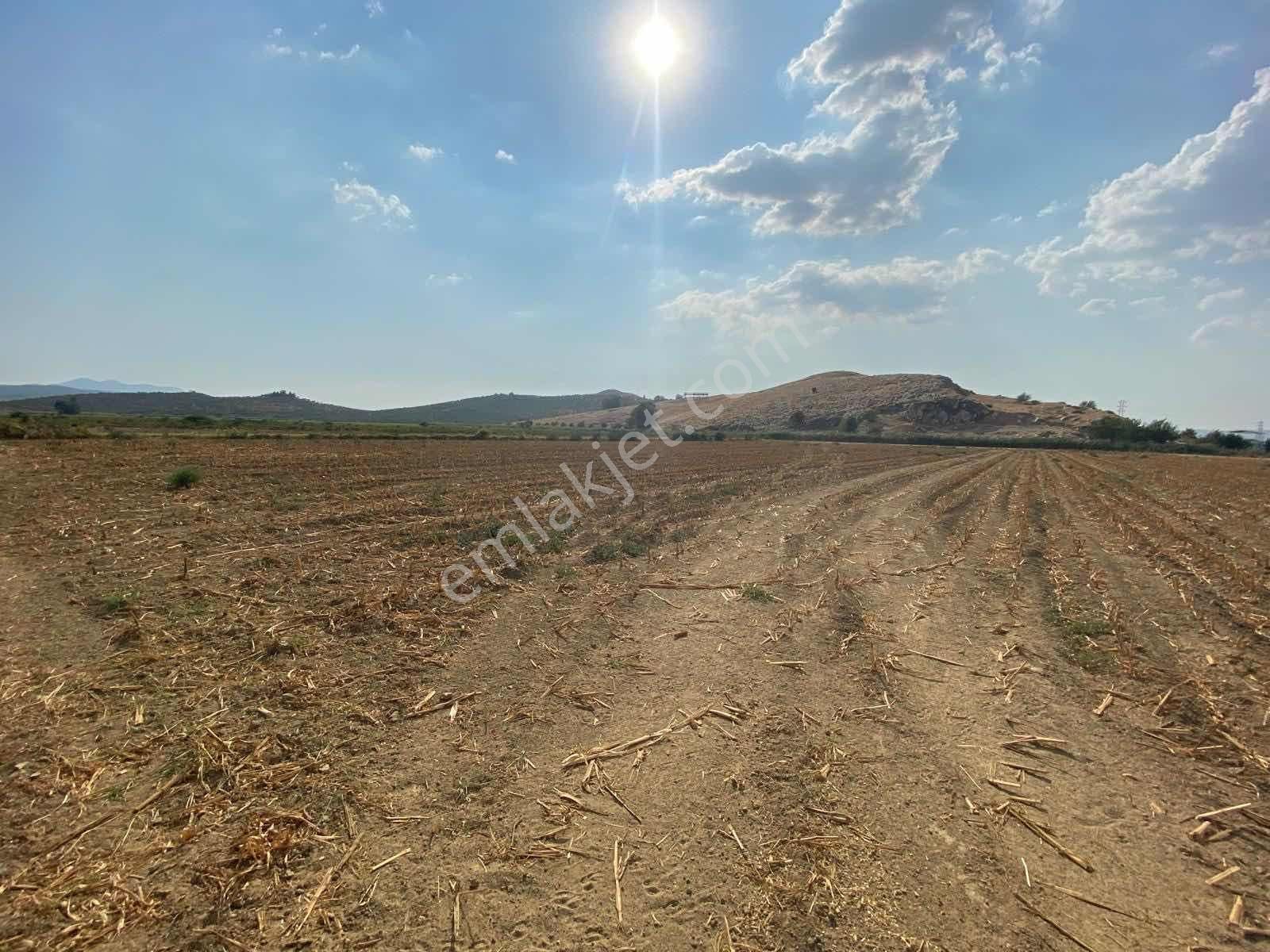 Akar Emlaktan Satılık Tarla - Görsel 4
