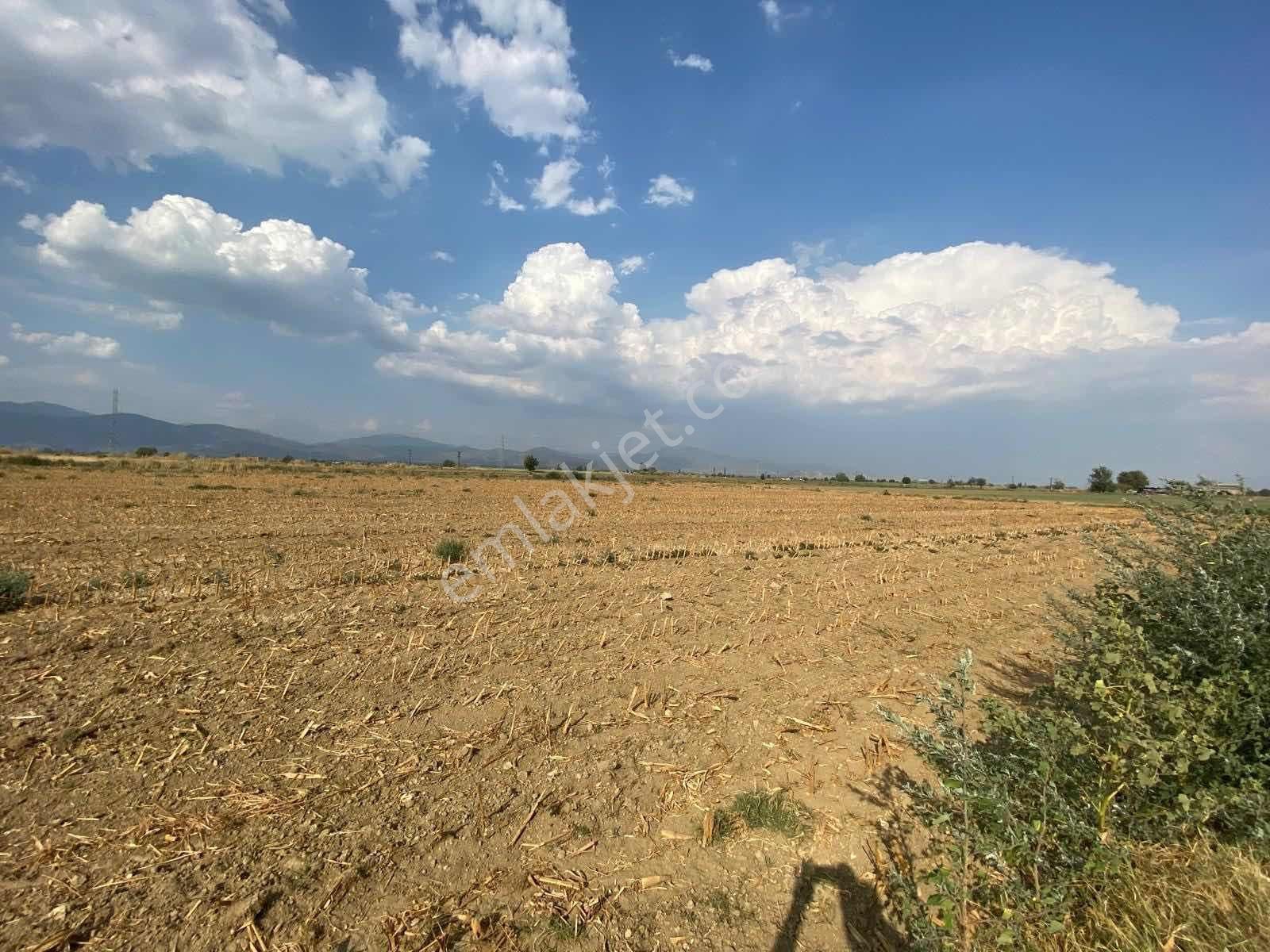 Akar Emlaktan Satılık Tarla - Görsel 13