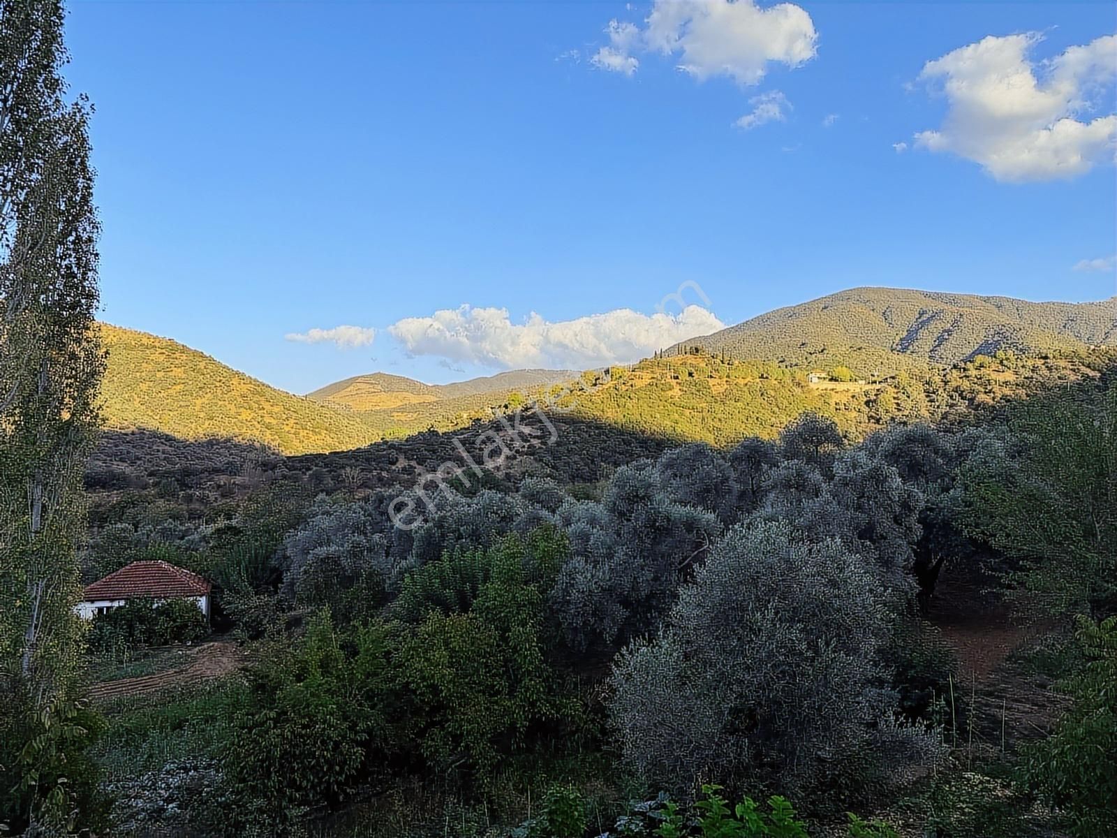Tire Osmancık Köyü'nde Fırsat Satılık Müstakil Ev Ve Bahçe - Görsel 6