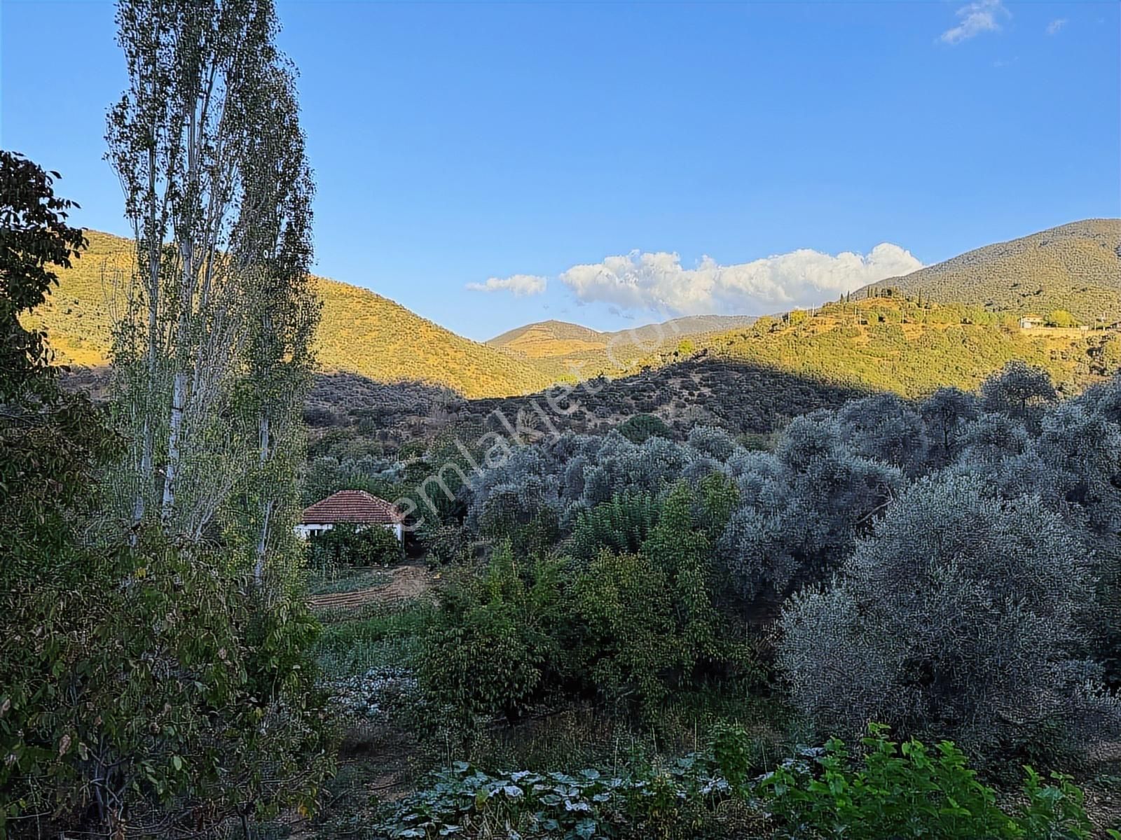 Tire Osmancık Köyü'nde Fırsat Satılık Müstakil Ev Ve Bahçe - Görsel 18