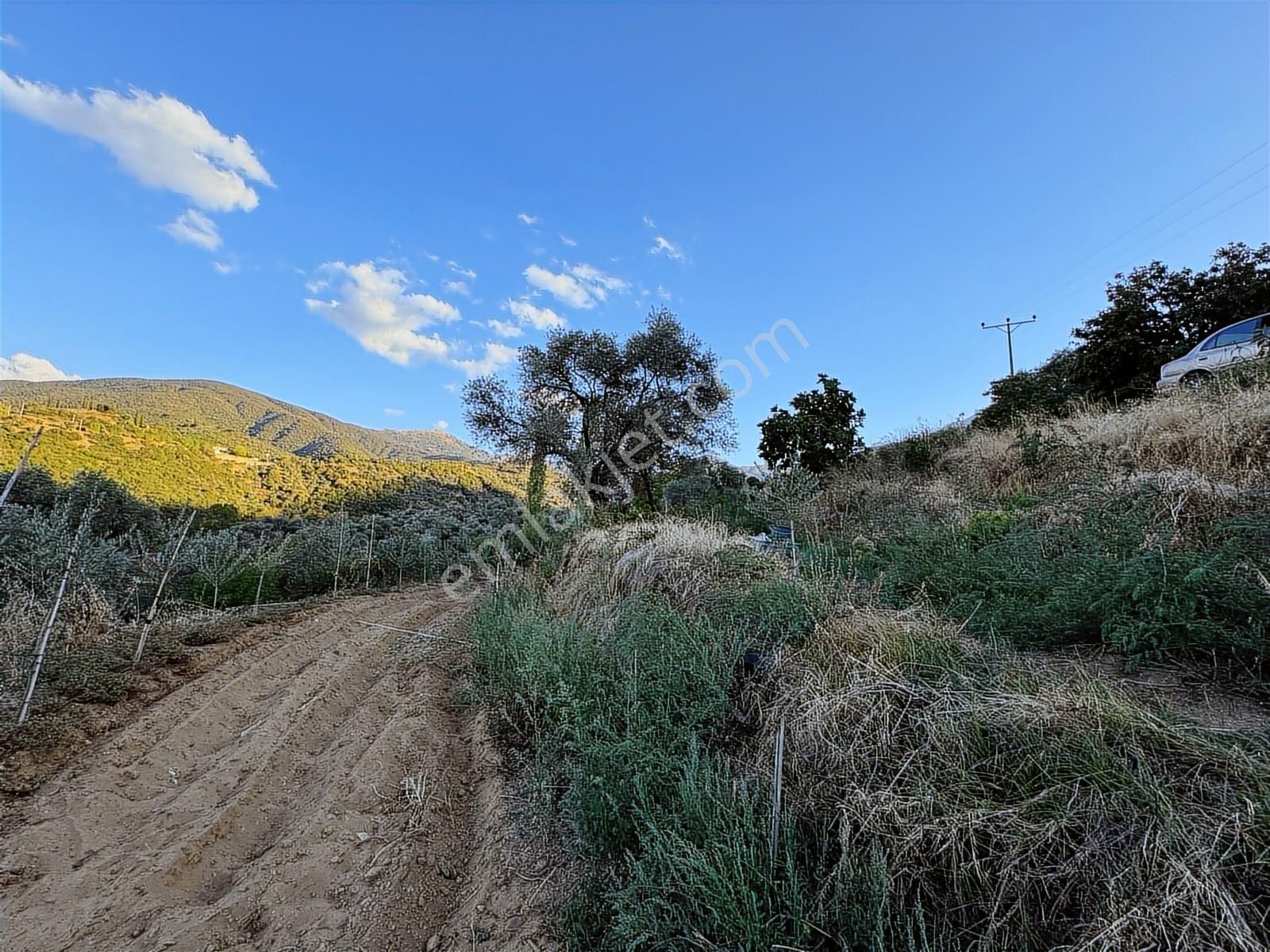 Tire Osmancık Köyü'nde Fırsat Satılık Müstakil Ev Ve Bahçe - Görsel 9