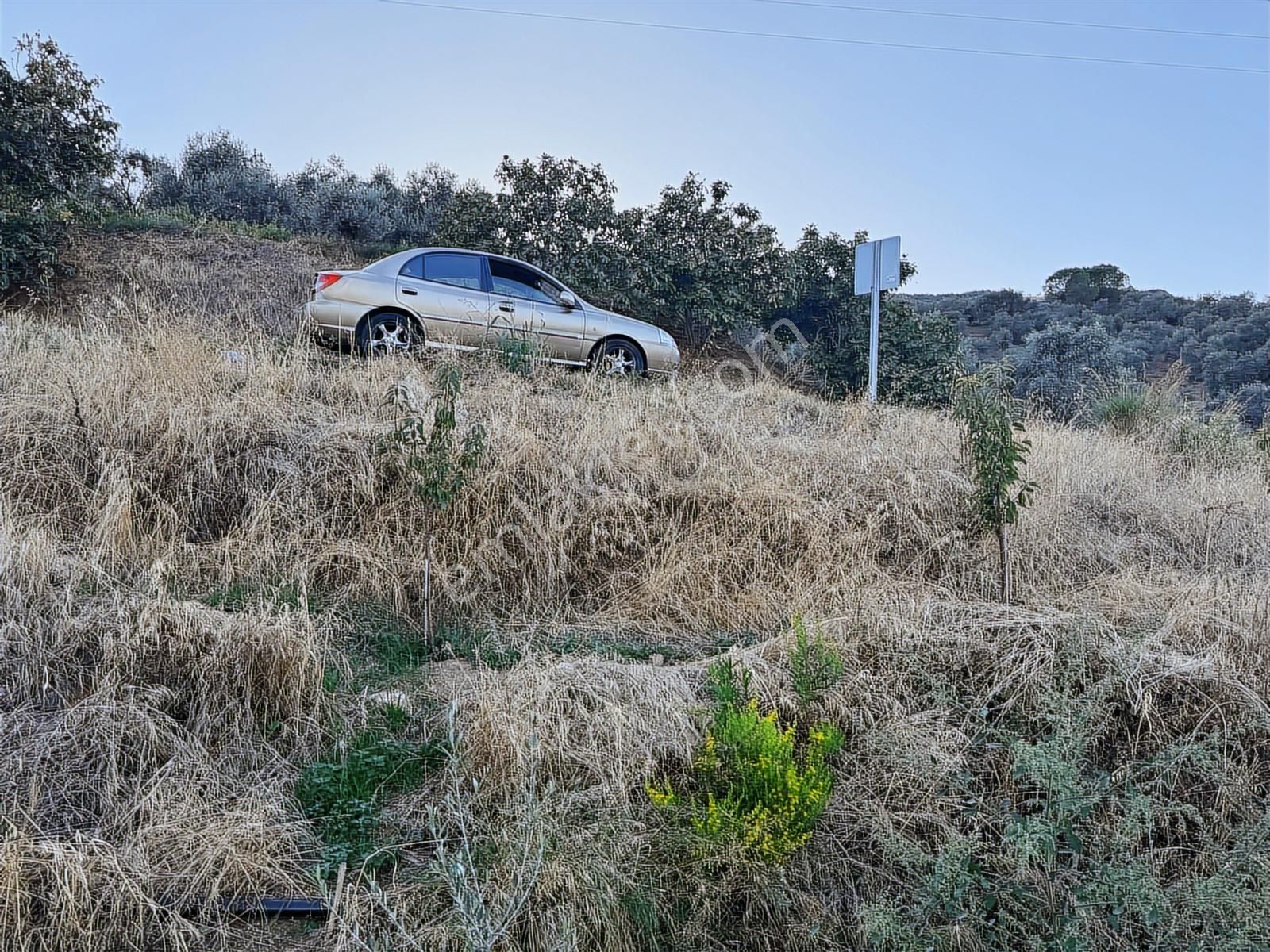 Tire Osmancık Köyü'nde Fırsat Satılık Müstakil Ev Ve Bahçe - Görsel 3