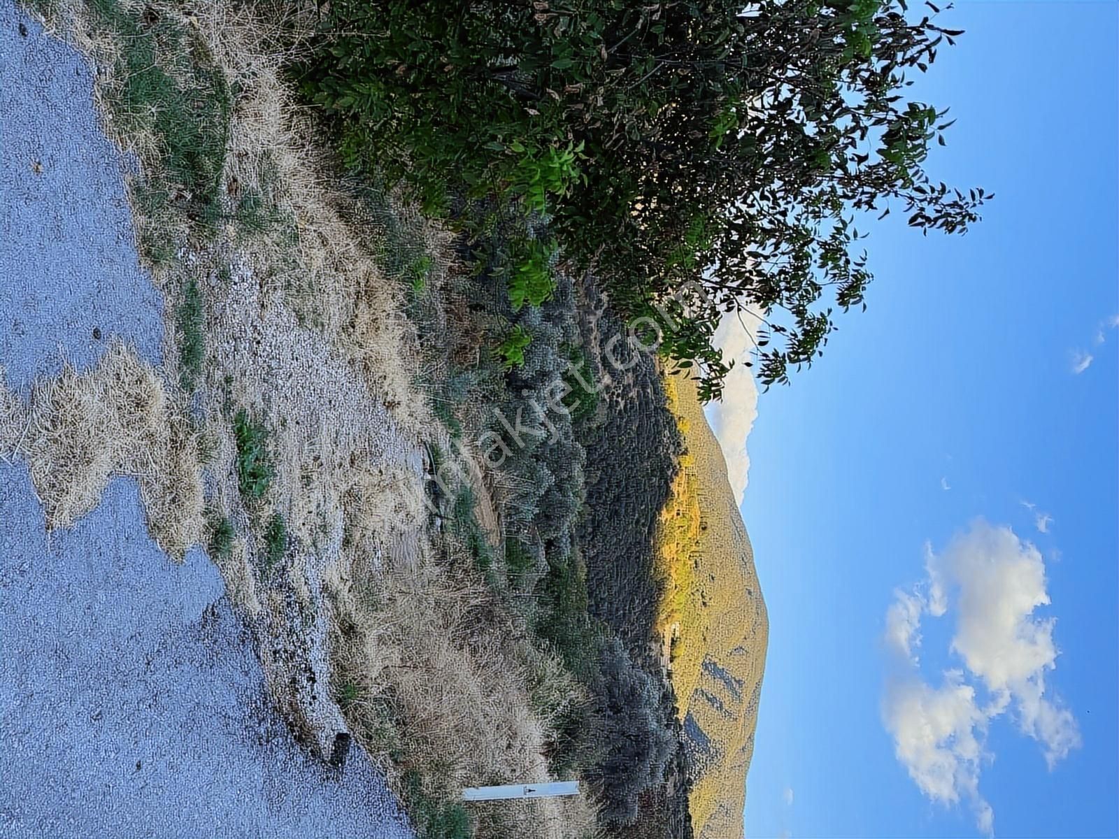 Tire Osmancık Köyü'nde Fırsat Satılık Müstakil Ev Ve Bahçe - Görsel 27