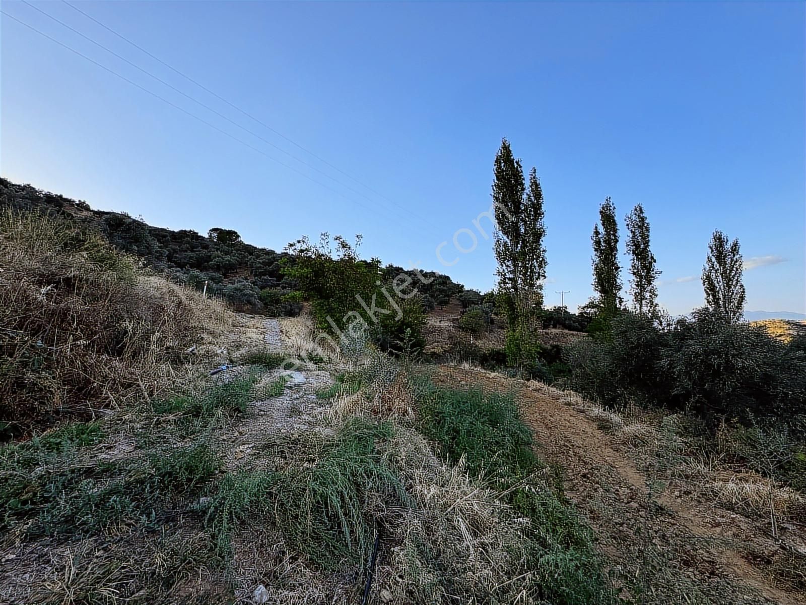 Tire Osmancık Köyü'nde Fırsat Satılık Müstakil Ev Ve Bahçe - Görsel 10