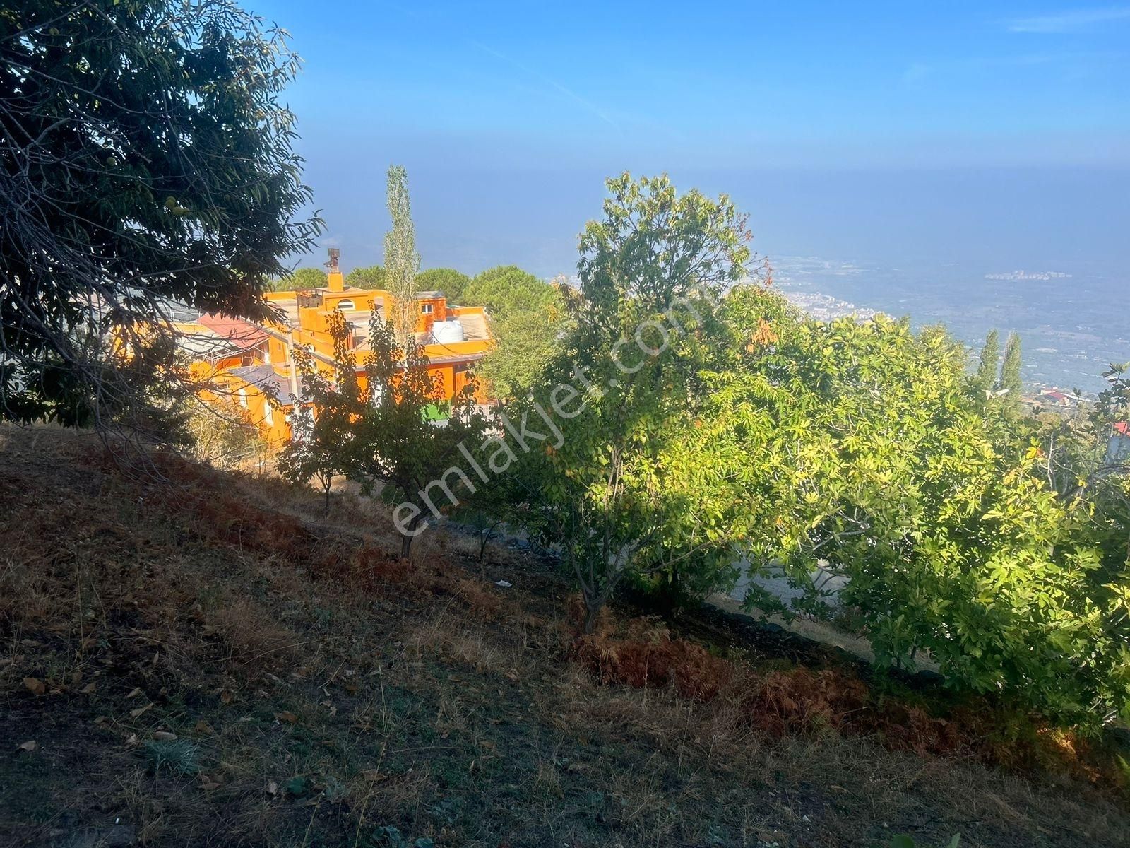 Kent Gayrimenkul'den Tire Cambazlı'da Mükemmel Arsa - Görsel 10