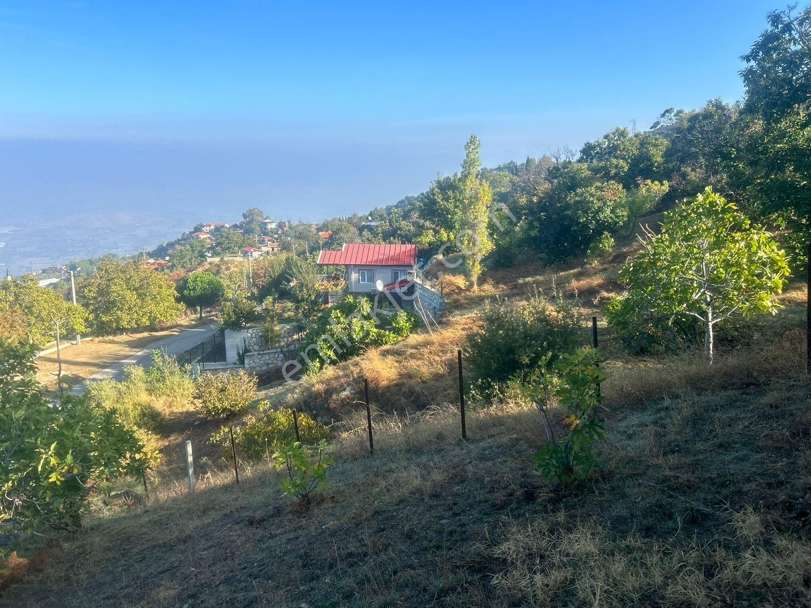 Kent Gayrimenkul'den Tire Cambazlı'da Mükemmel Arsa - Görsel 3