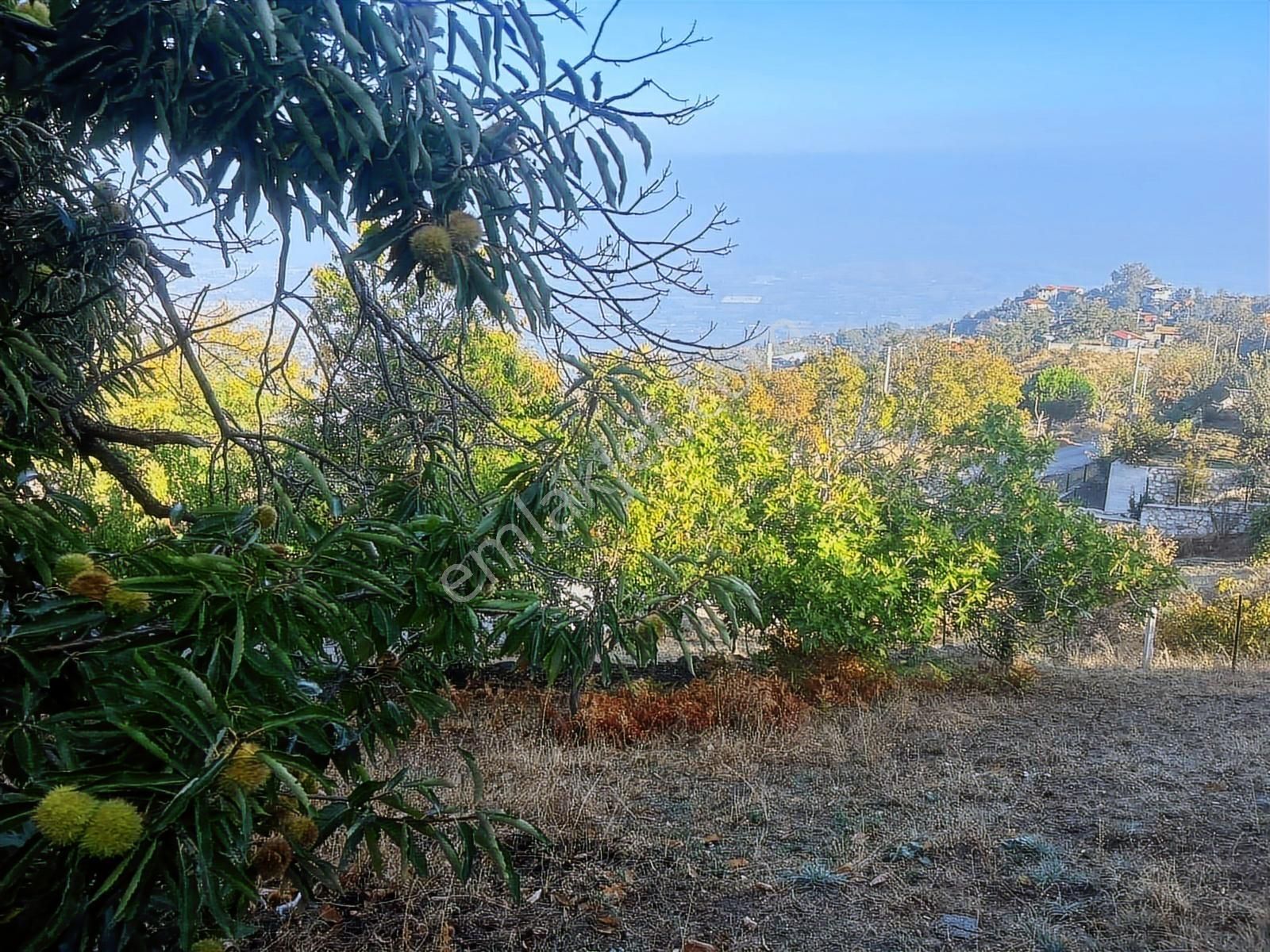 Kent Gayrimenkul'den Tire Cambazlı'da Mükemmel Arsa - Görsel 15