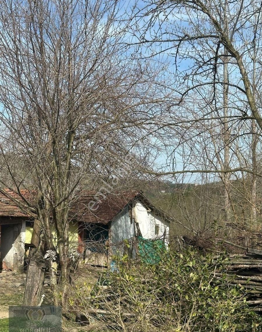 Görgülü Emlaktan Satılık Kople Çiftlik Selimiye Köyü - Görsel 7