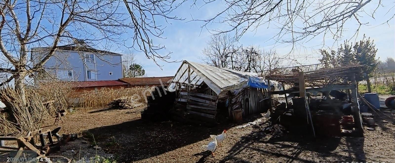 Görgülü Emlaktan Satılık Çiftlik 8801 M² - Görsel 5