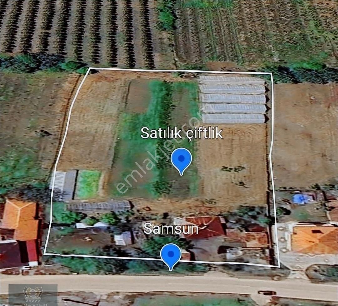 Görgülü Emlaktan Satılık Çiftlik 8801 M²