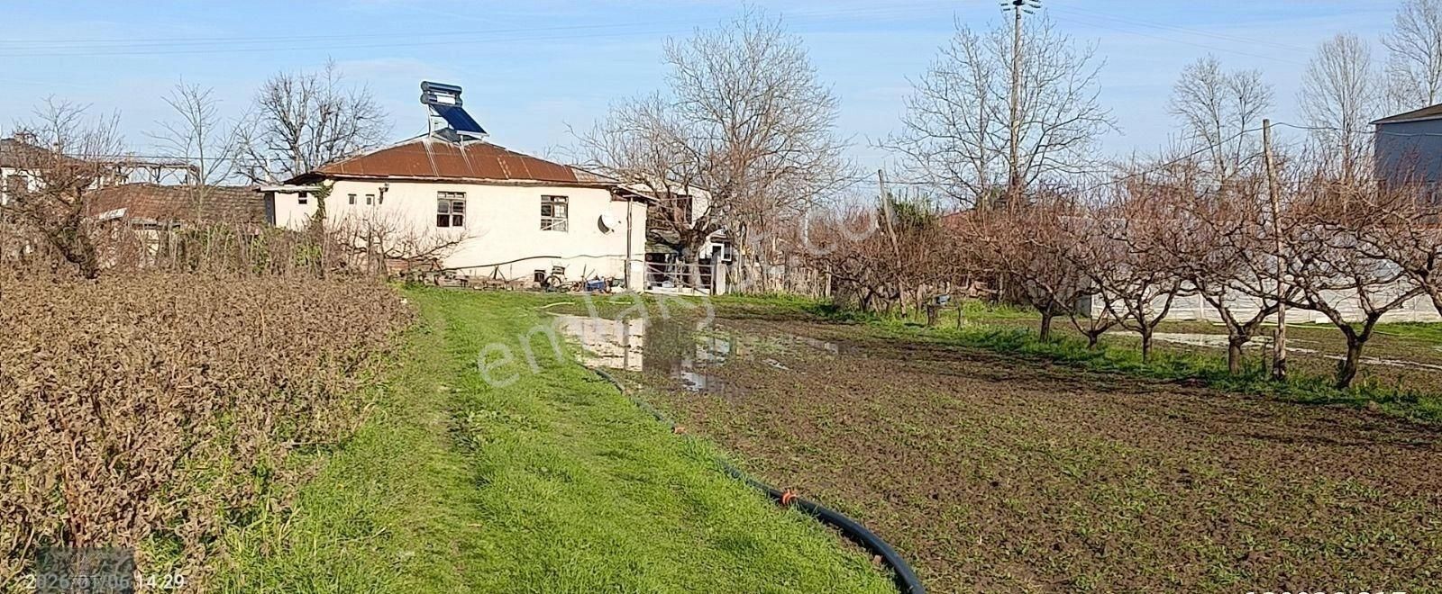 Görgülü Emlaktan Satılık Çiftlik 8801 M² - Görsel 3