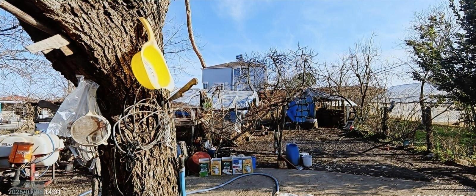 Görgülü Emlaktan Satılık Çiftlik 8801 M² - Görsel 24