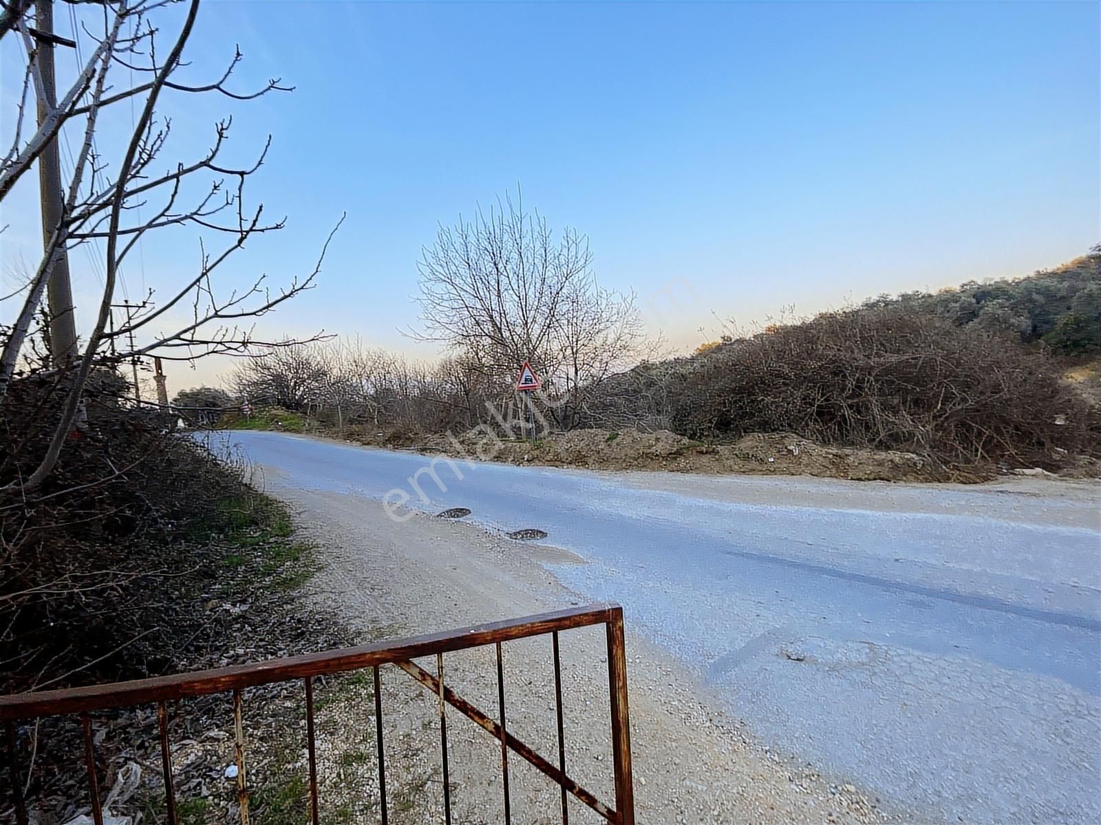 Kent Gayrimenkul'den Şehir İçinde Satılık Mükemmel Zeytinlik - Görsel 16